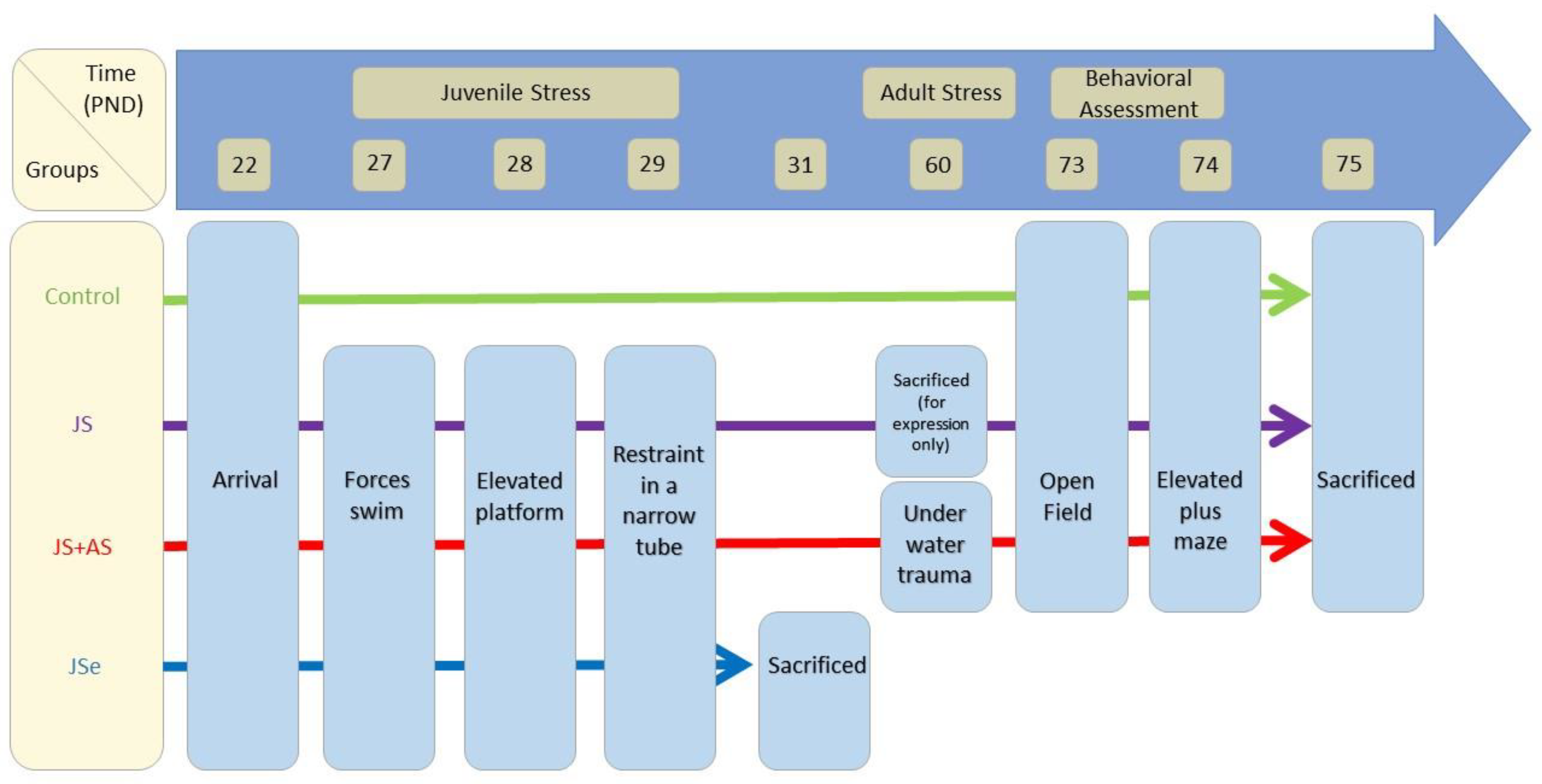 Genes 14 00565 sch002 Genes 14 00565 sch002