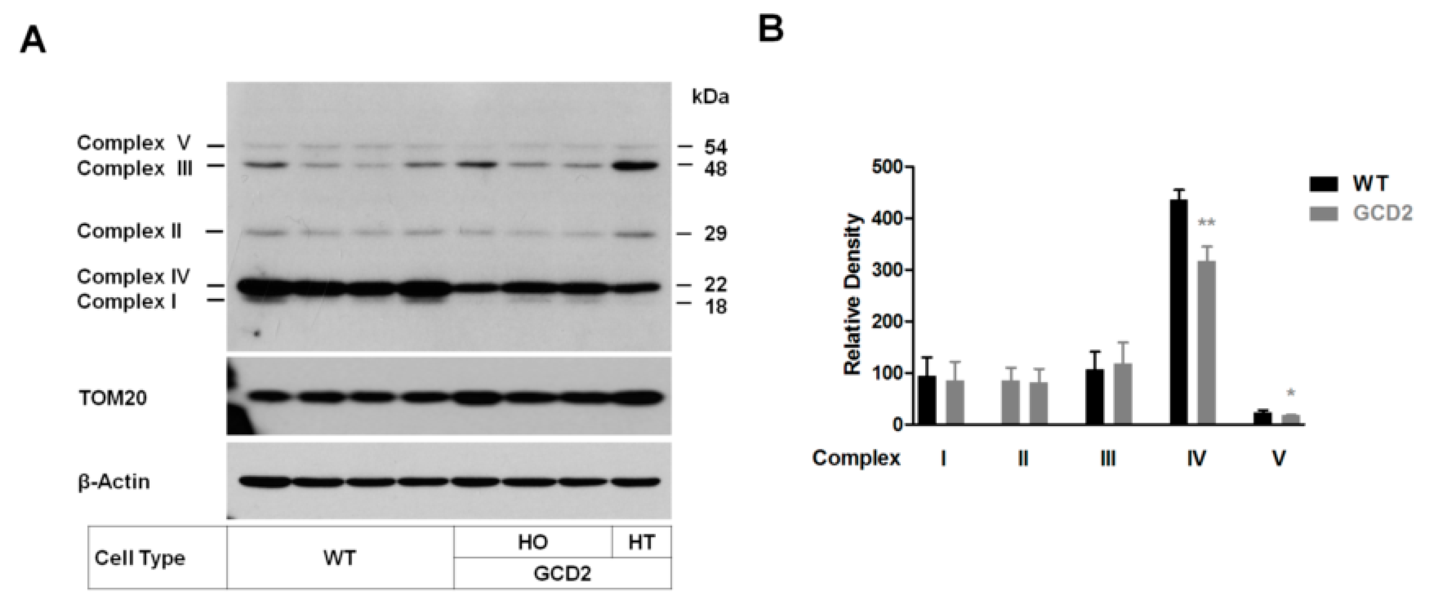 Genes 14 00566 g005 Genes 14 00566 g005