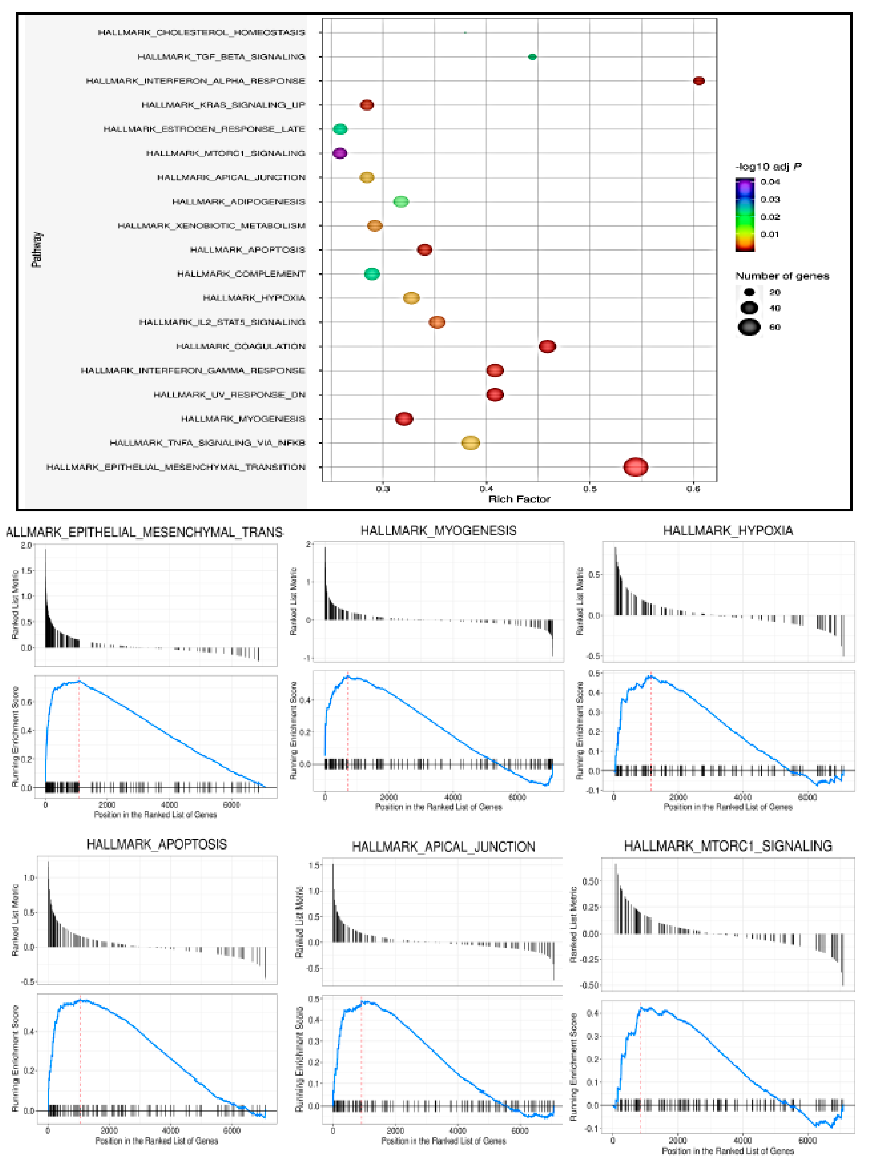 Genes 14 00567 g004 Genes 14 00567 g004