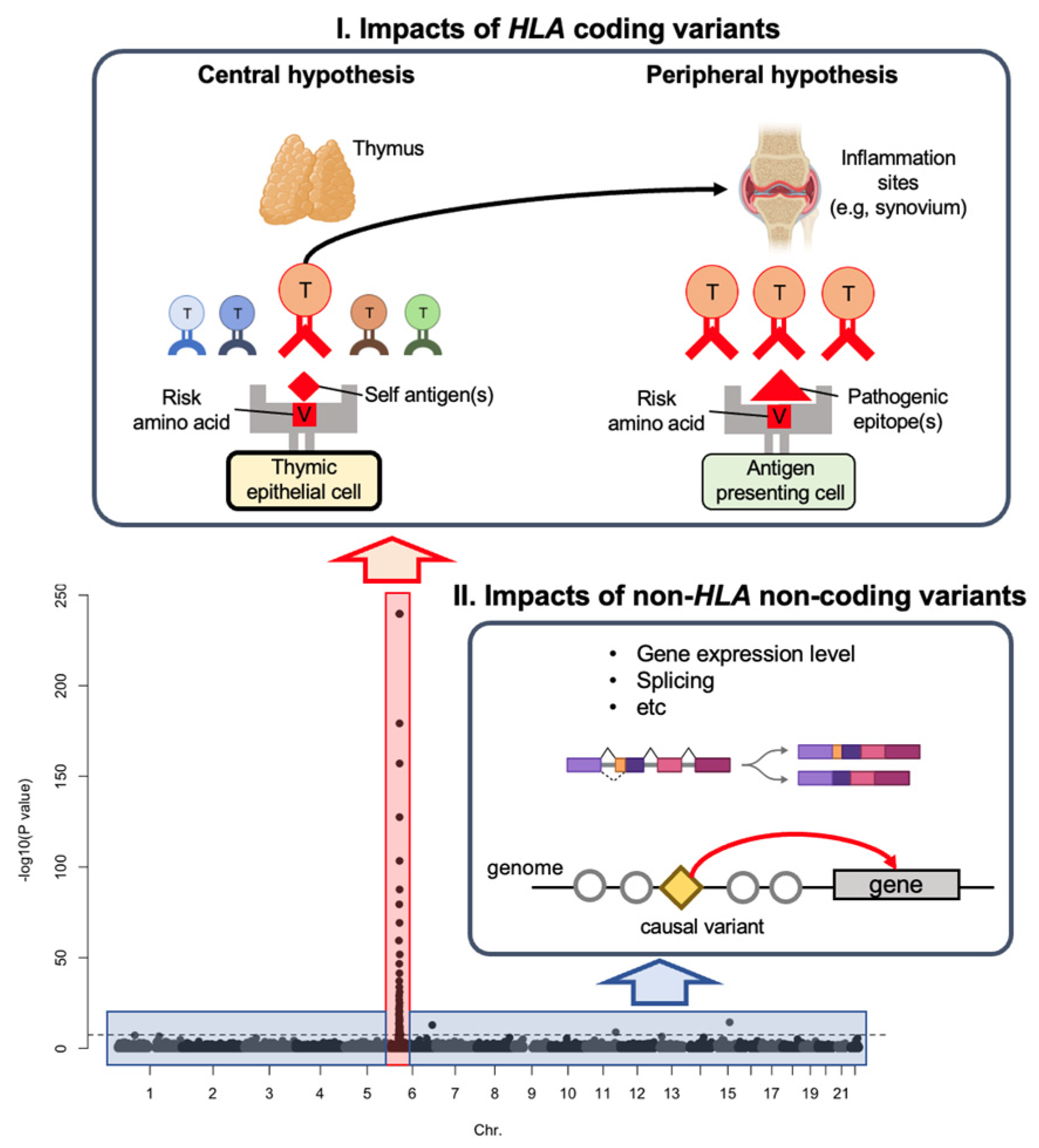 Genes 14 00572 g002 Genes 14 00572 g002