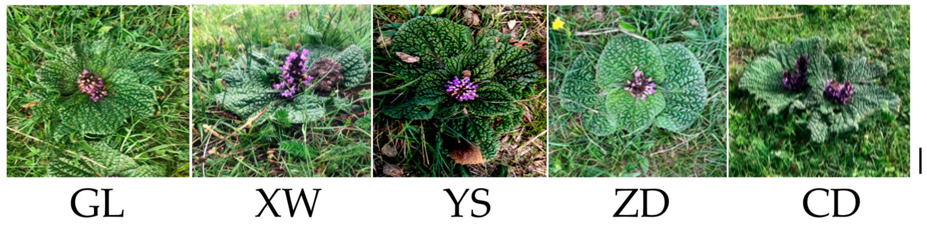 Genes 14 00573 g001 Genes 14 00573 g001