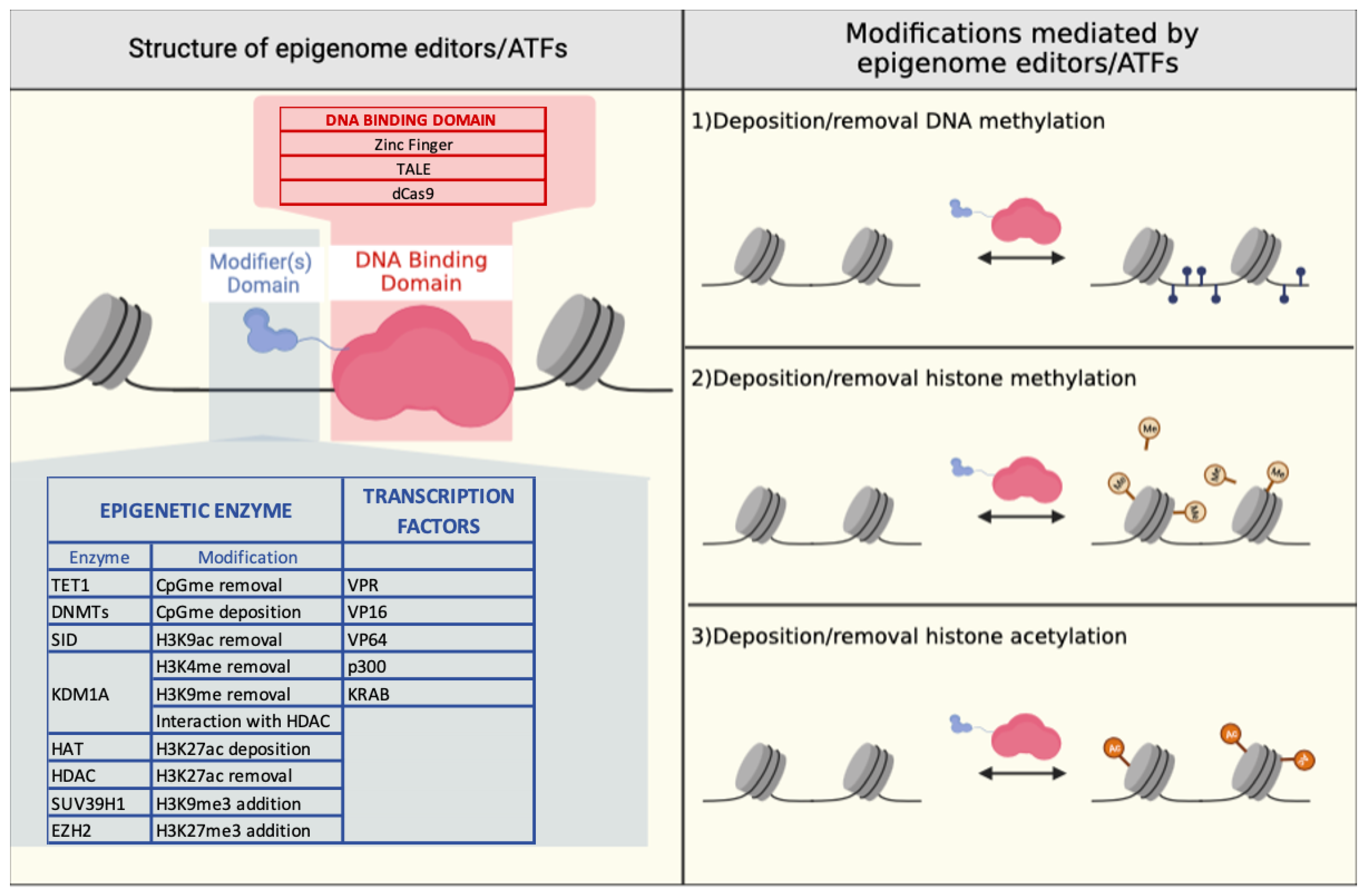 Genes 14 00577 g004