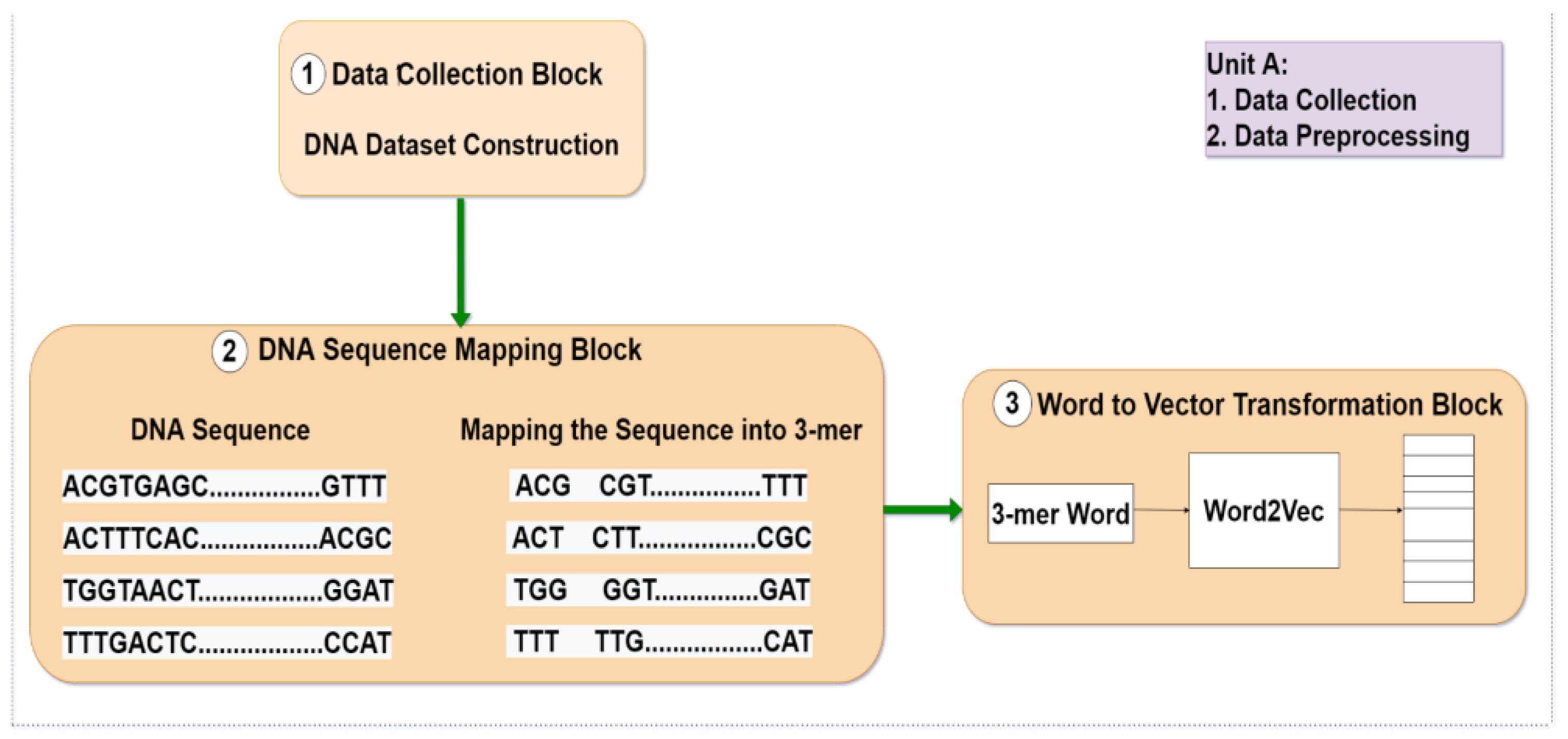 Genes 14 00582 g001a