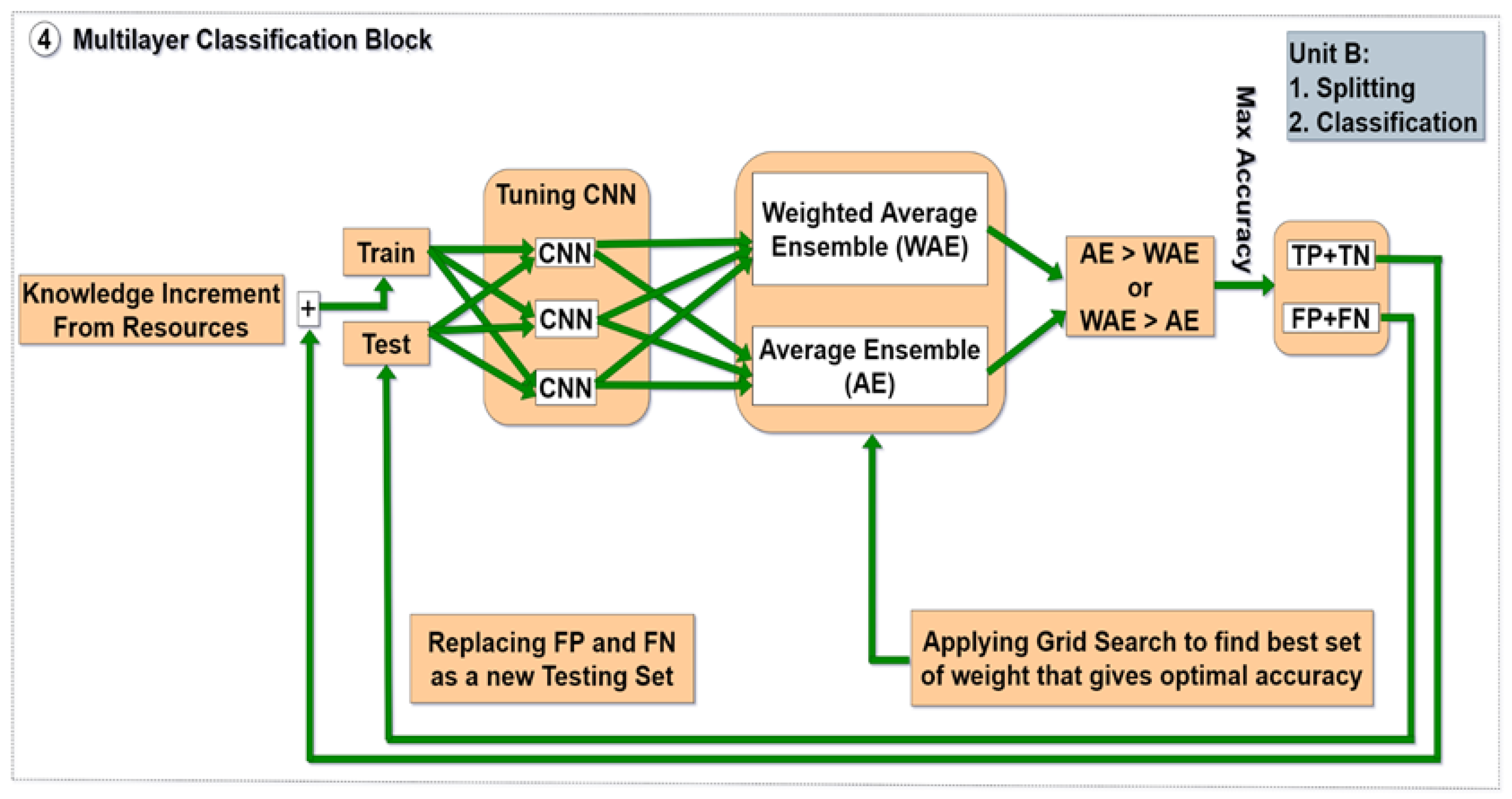 Genes 14 00582 g001b
