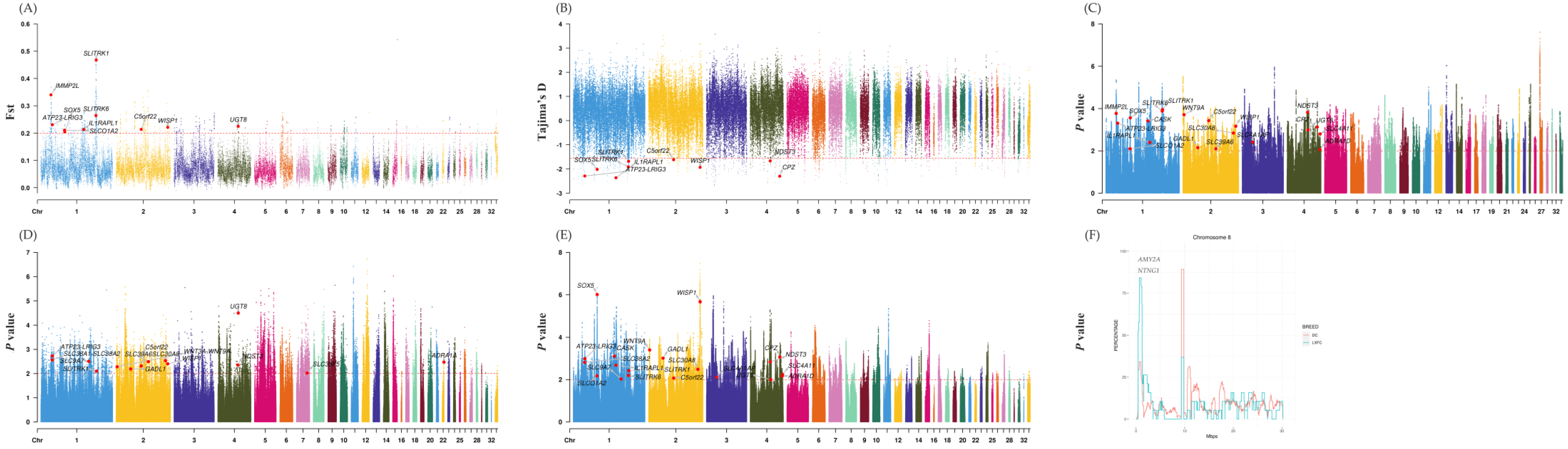 Genes 14 00584 g001 Genes 14 00584 g001