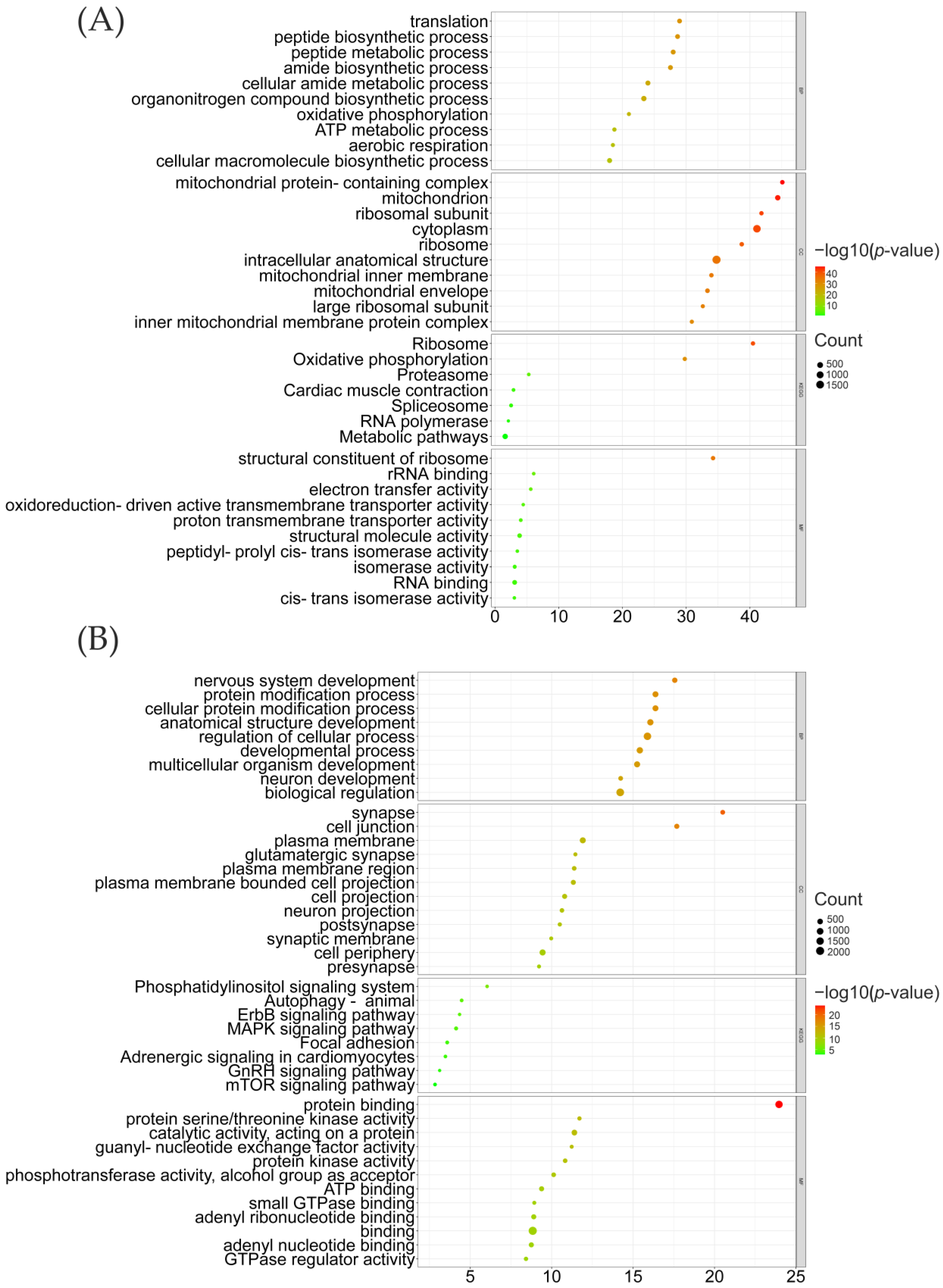 Genes 14 00584 g005 Genes 14 00584 g005