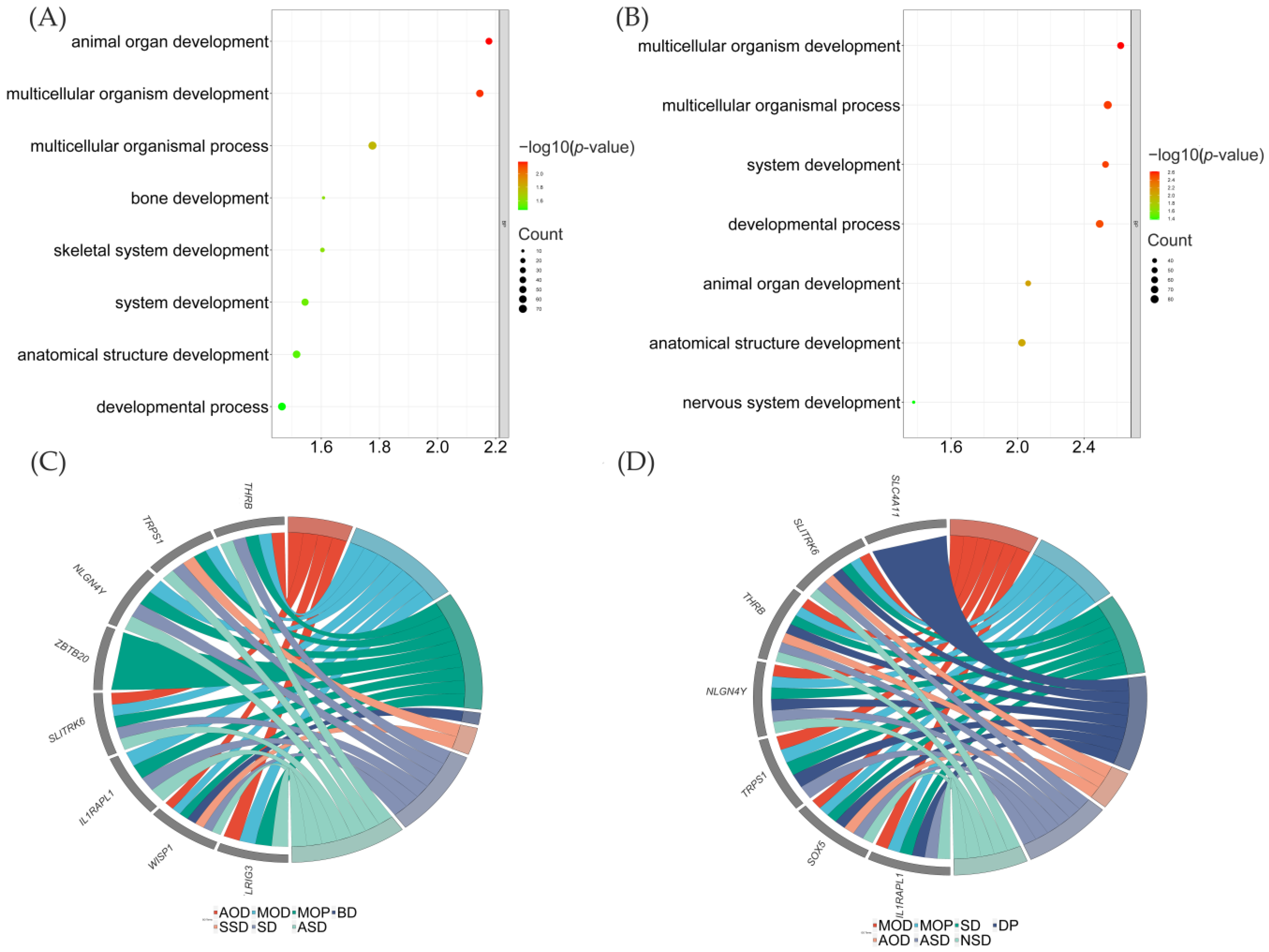 Genes 14 00584 g006 Genes 14 00584 g006