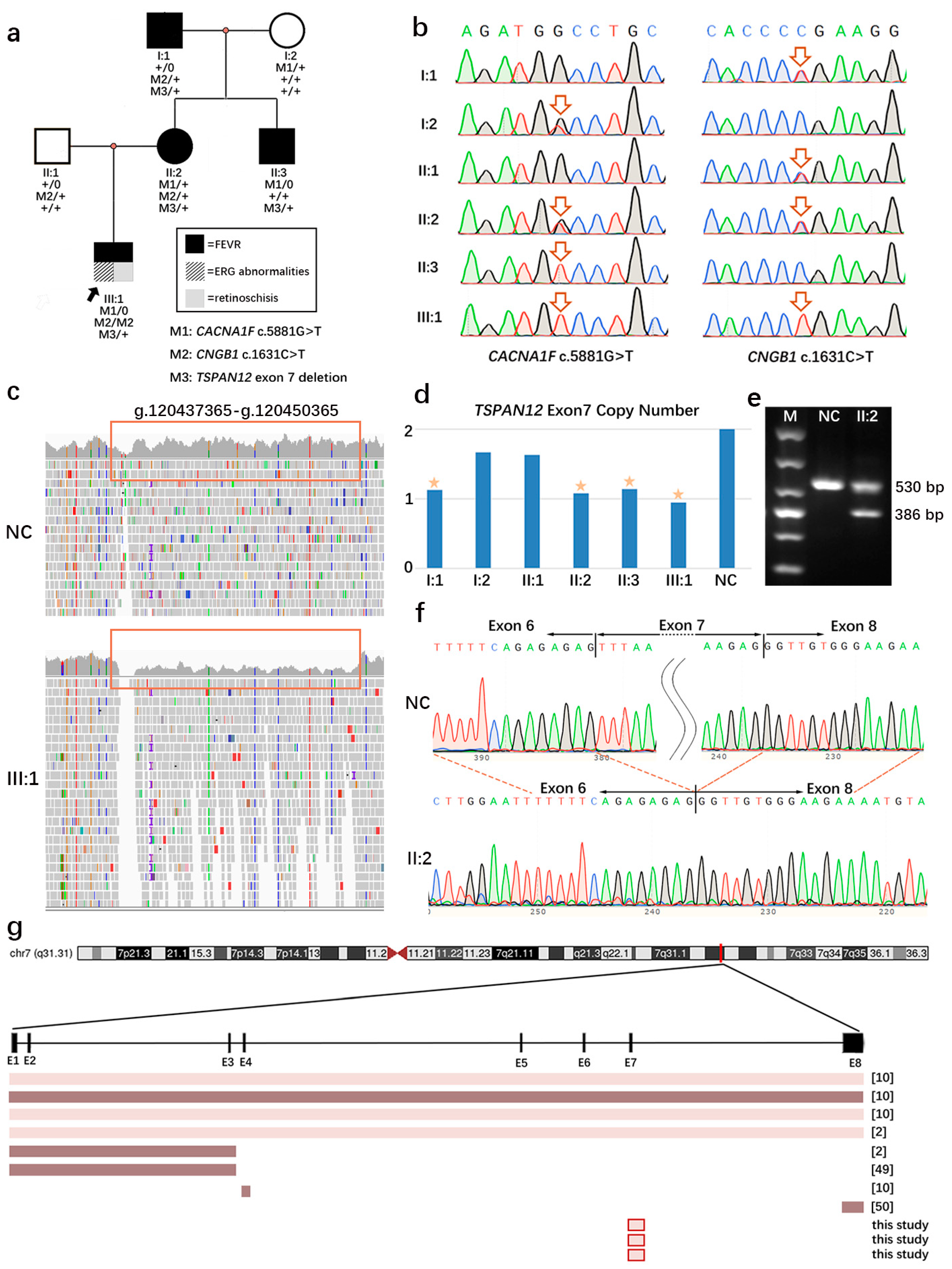 Genes 14 00587 g002 Genes 14 00587 g002