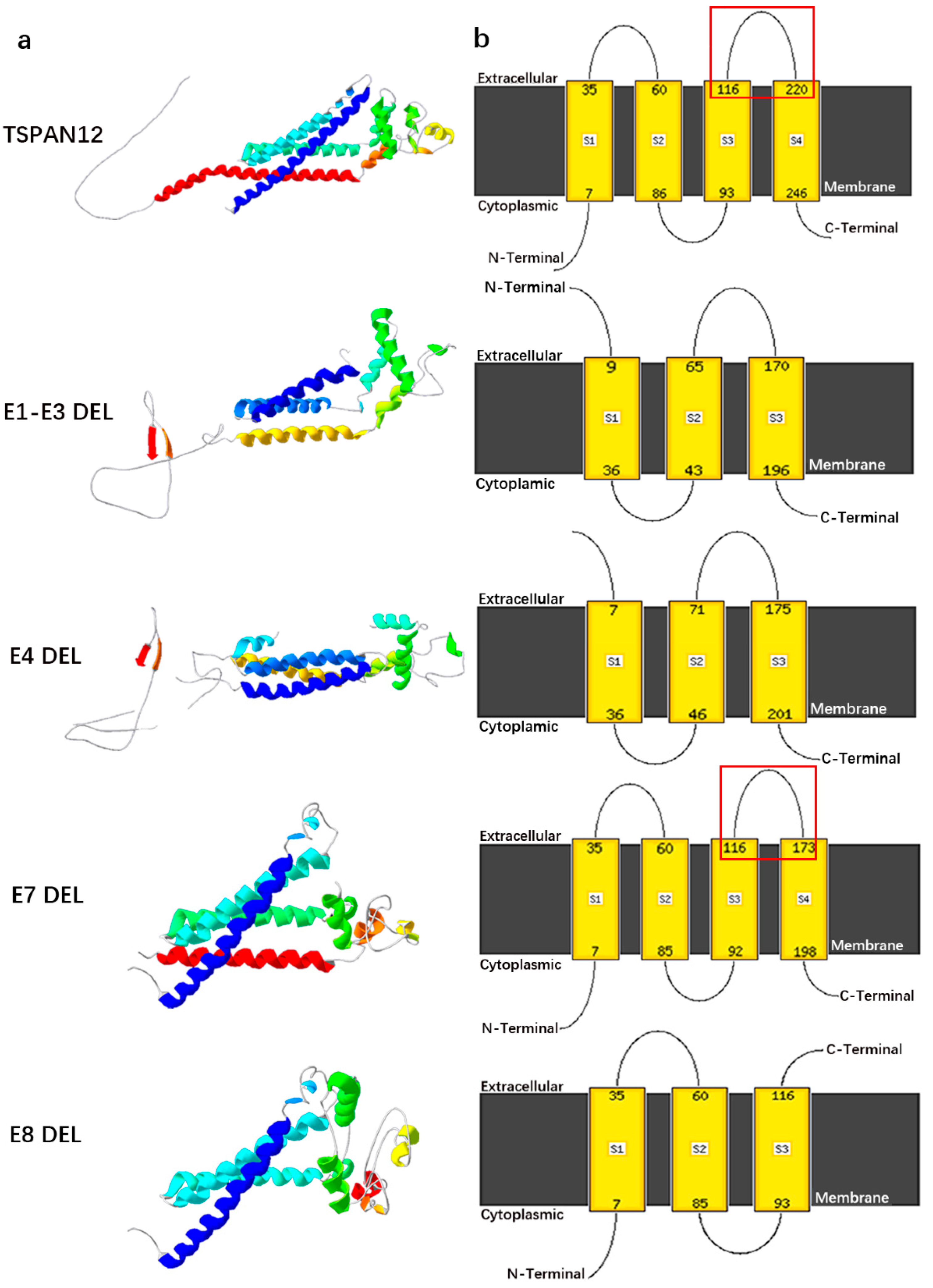 Genes 14 00587 g003 Genes 14 00587 g003