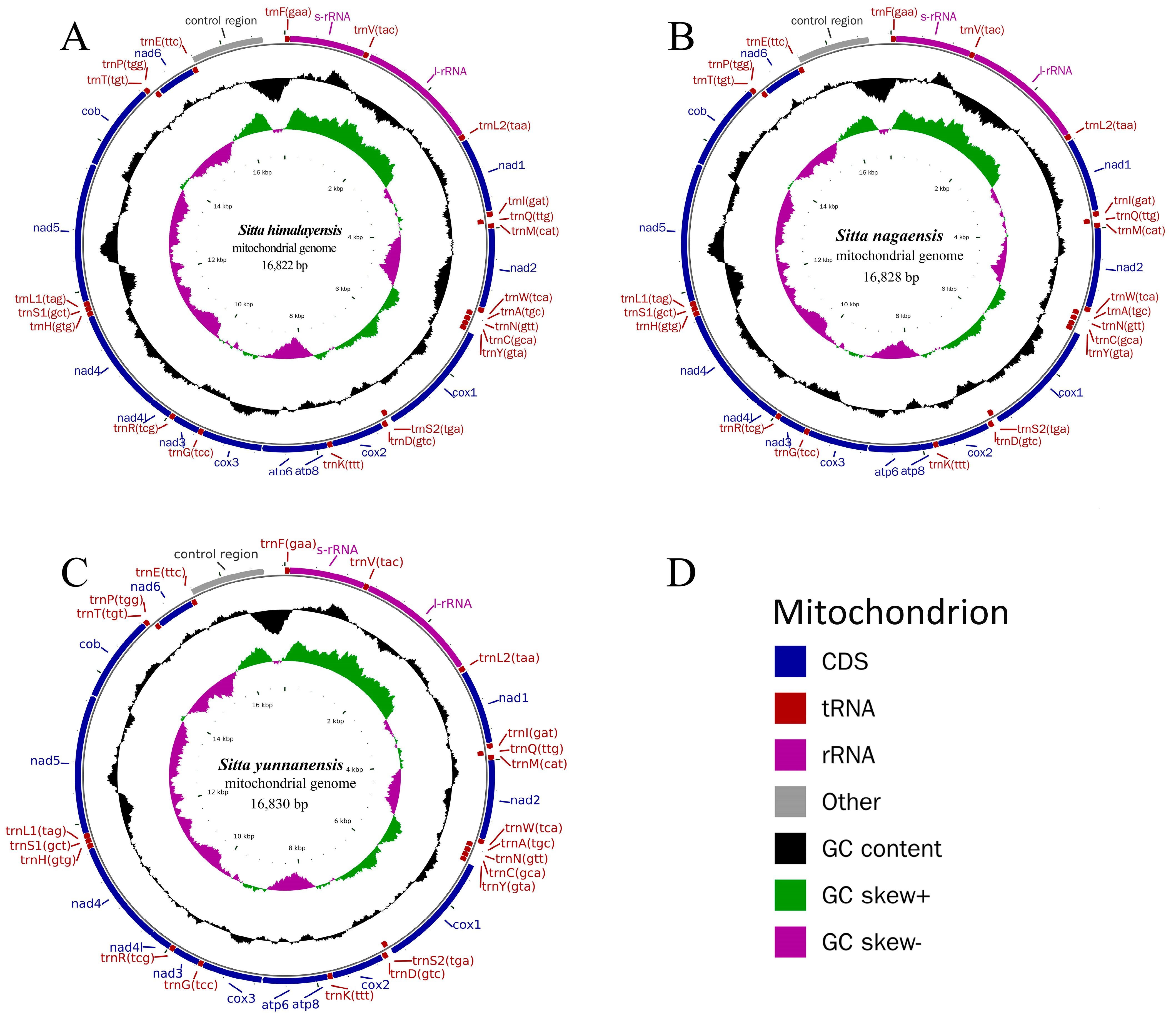Genes 14 00589 g001 Genes 14 00589 g001