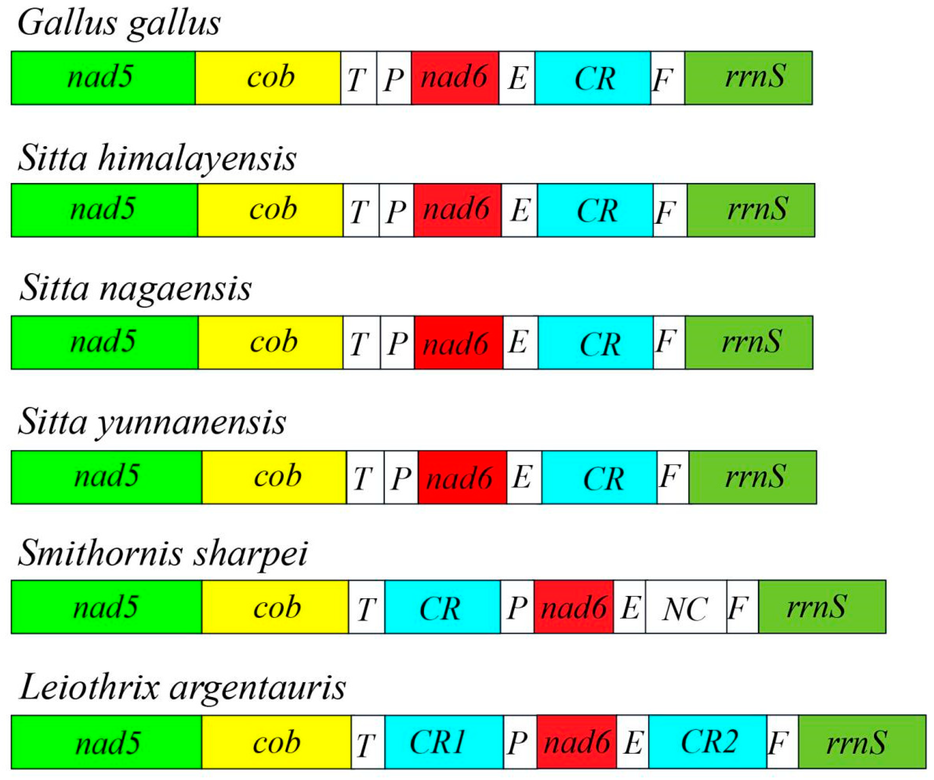 Genes 14 00589 g002 Genes 14 00589 g002