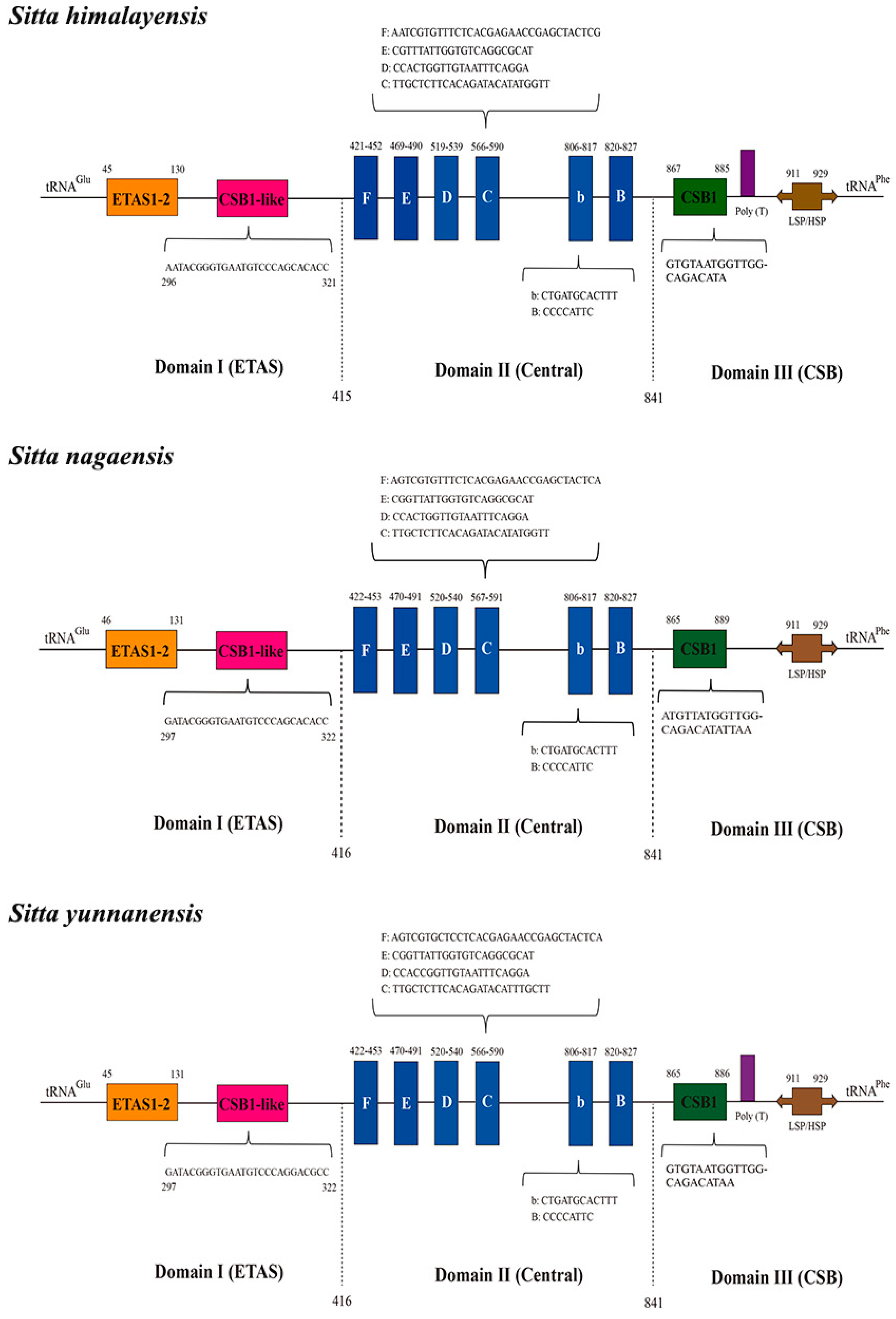 Genes 14 00589 g004 Genes 14 00589 g004