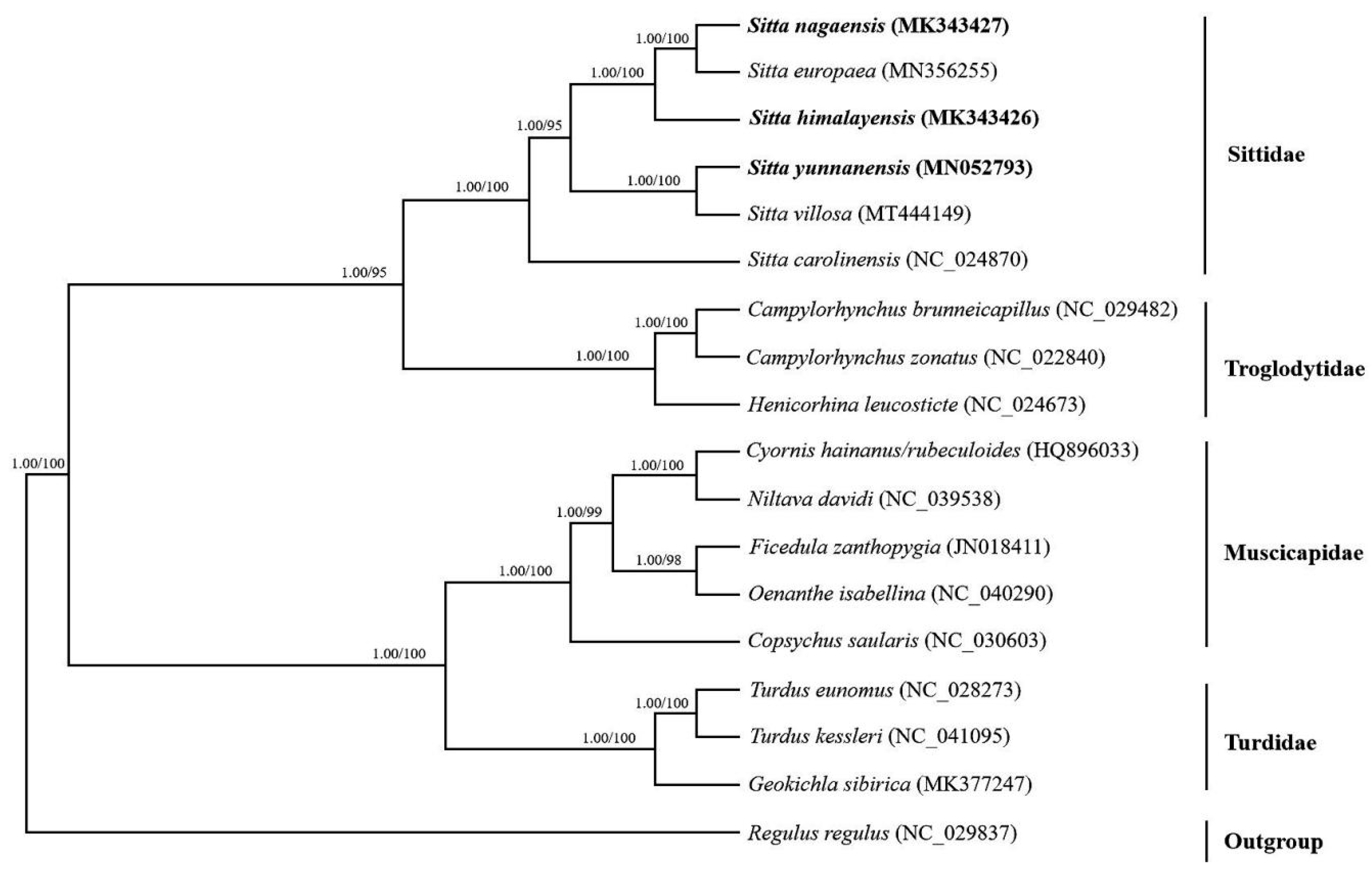 Genes 14 00589 g005 Genes 14 00589 g005