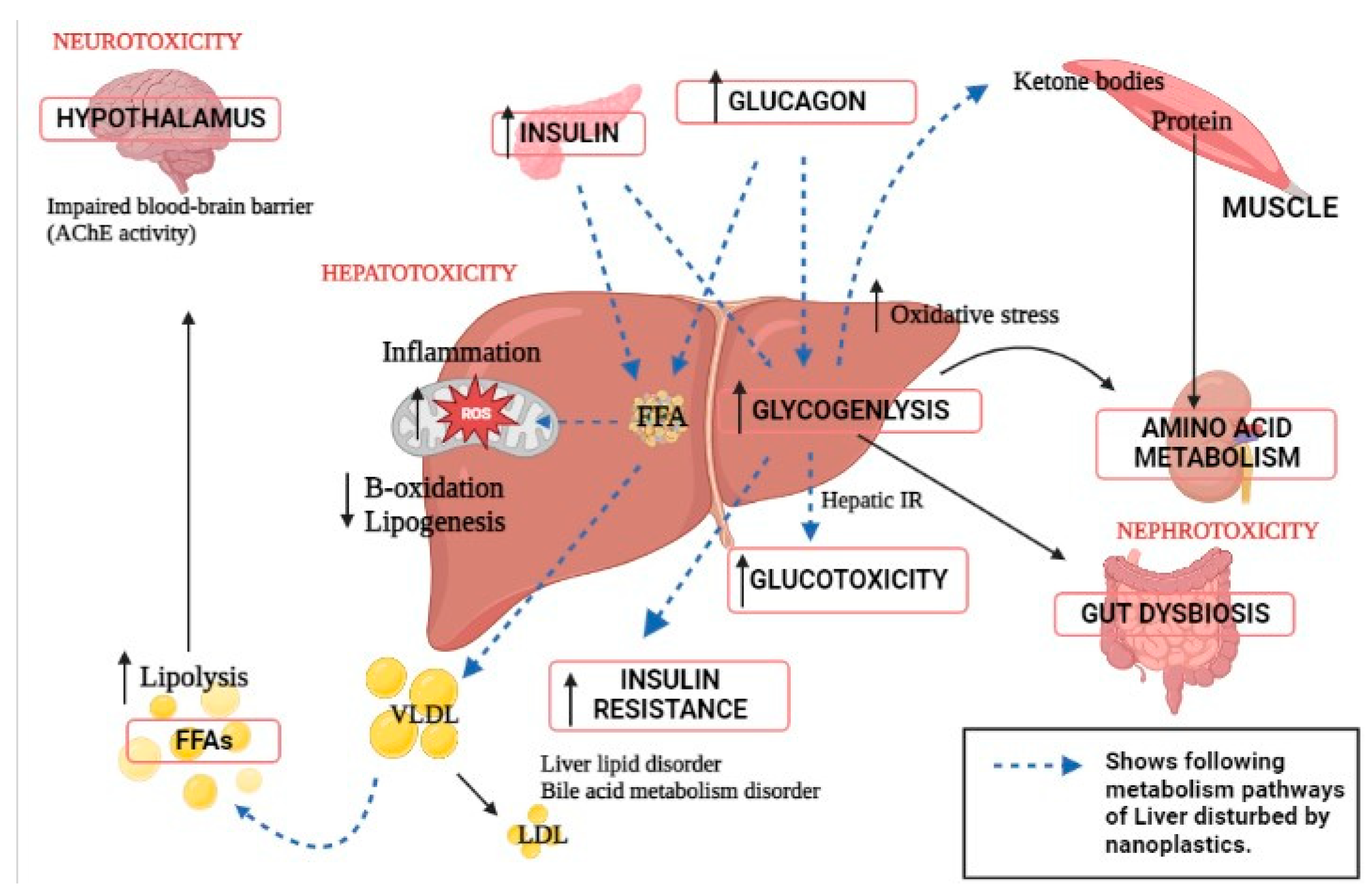 Genes 14 00590 g002 Genes 14 00590 g002