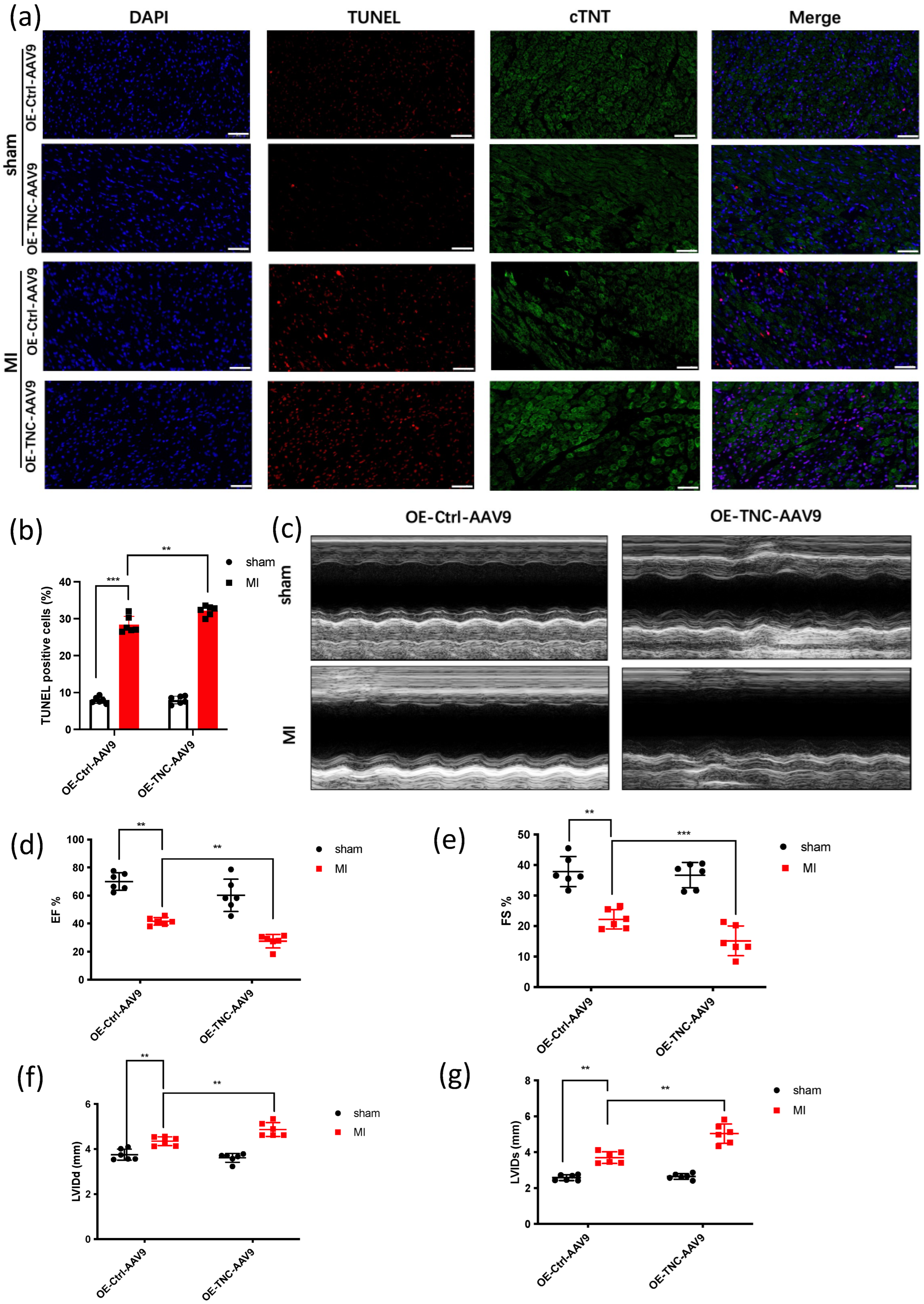 Genes 14 00591 g001a Genes 14 00591 g001a
