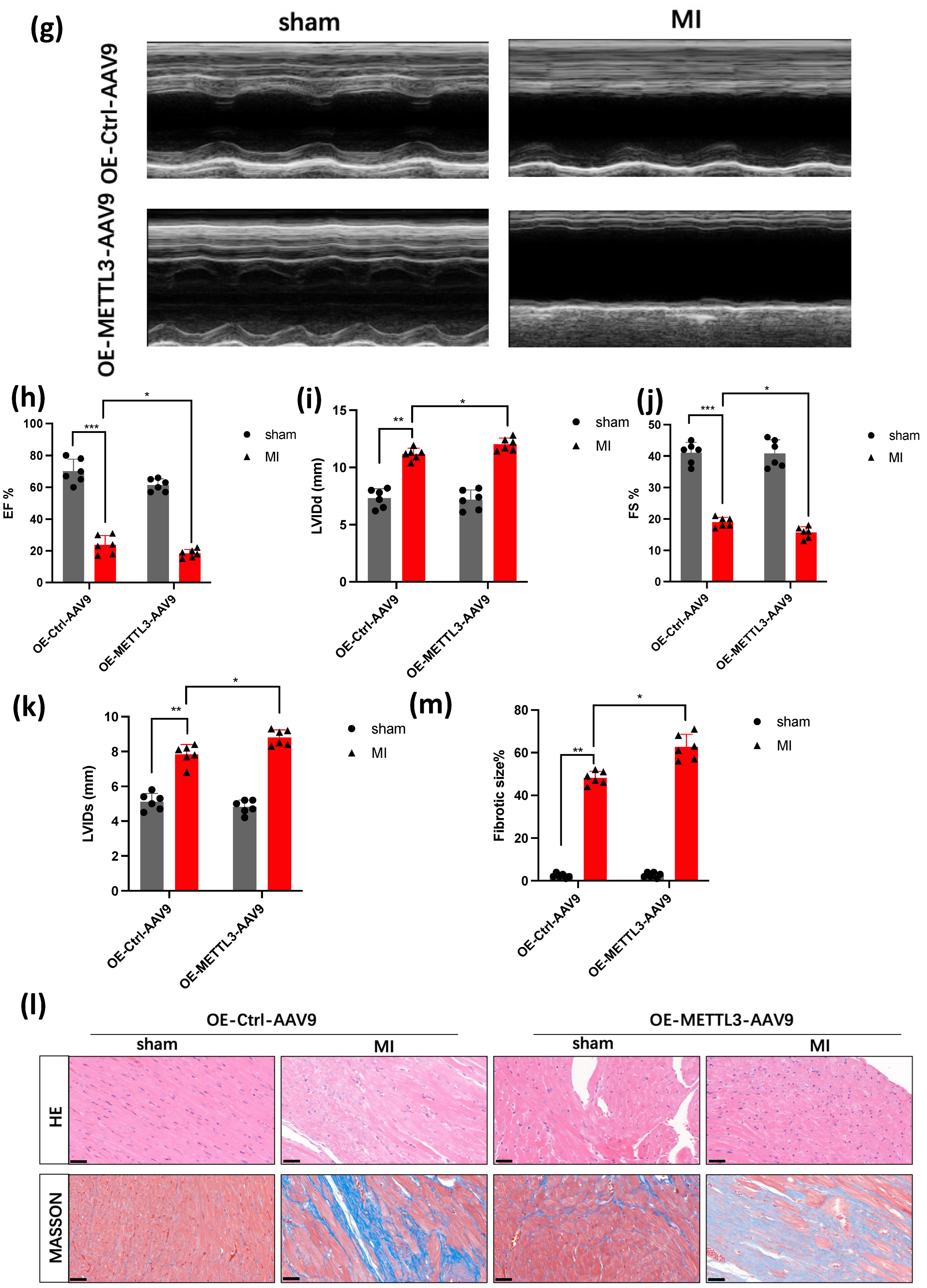 Genes 14 00591 g002b Genes 14 00591 g002b