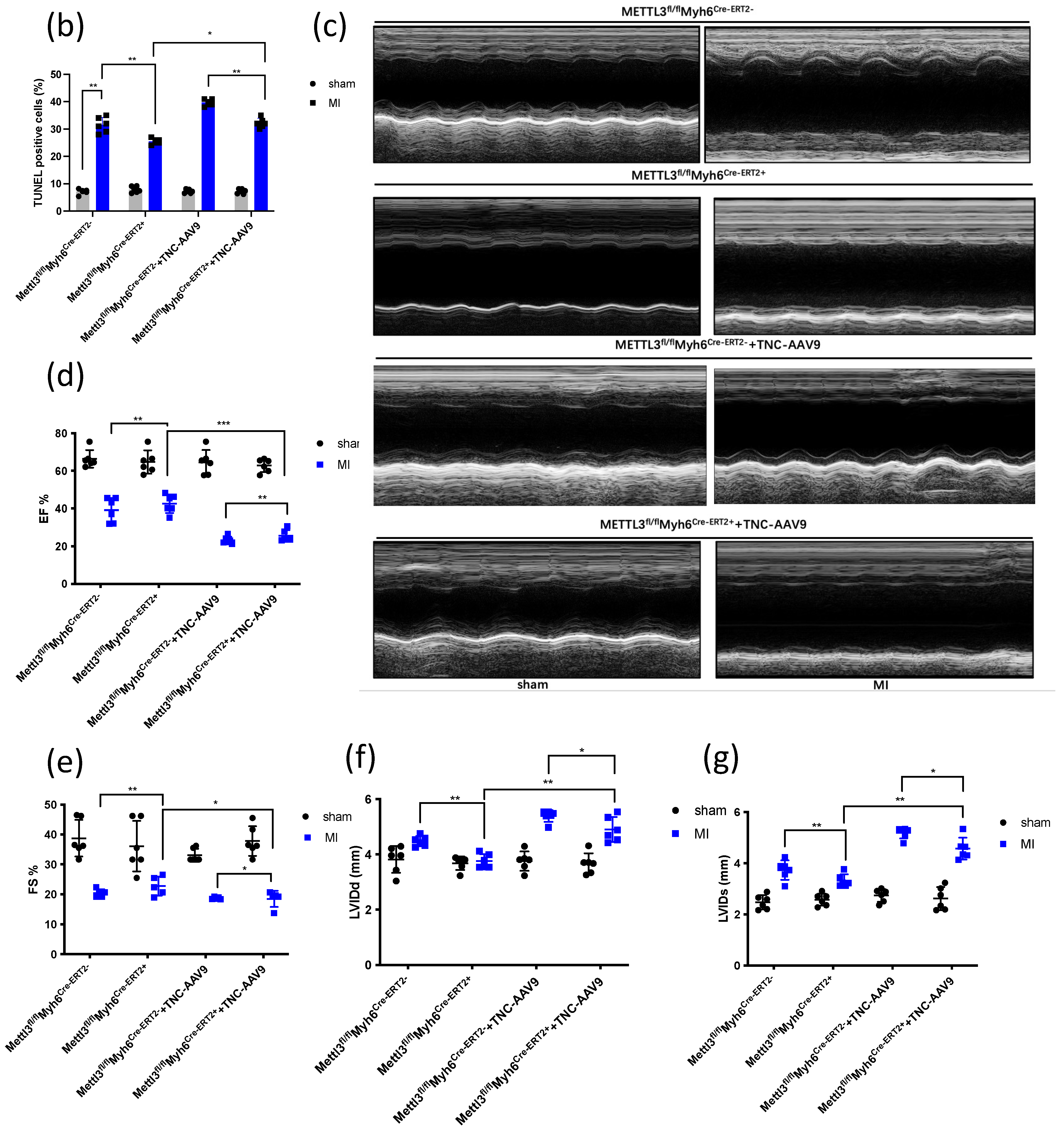 Genes 14 00591 g004b Genes 14 00591 g004b