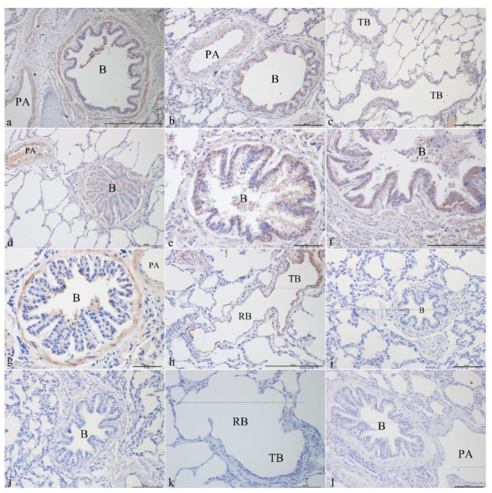 Genes 14 00597 g001 Genes 14 00597 g001