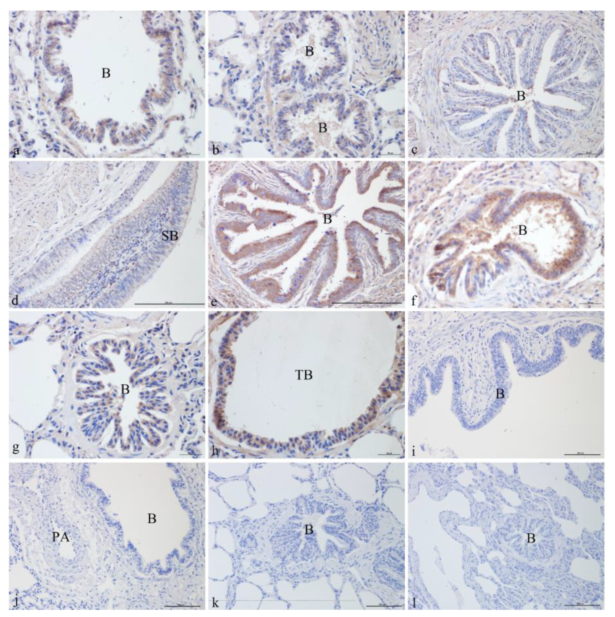Genes 14 00597 g002 Genes 14 00597 g002