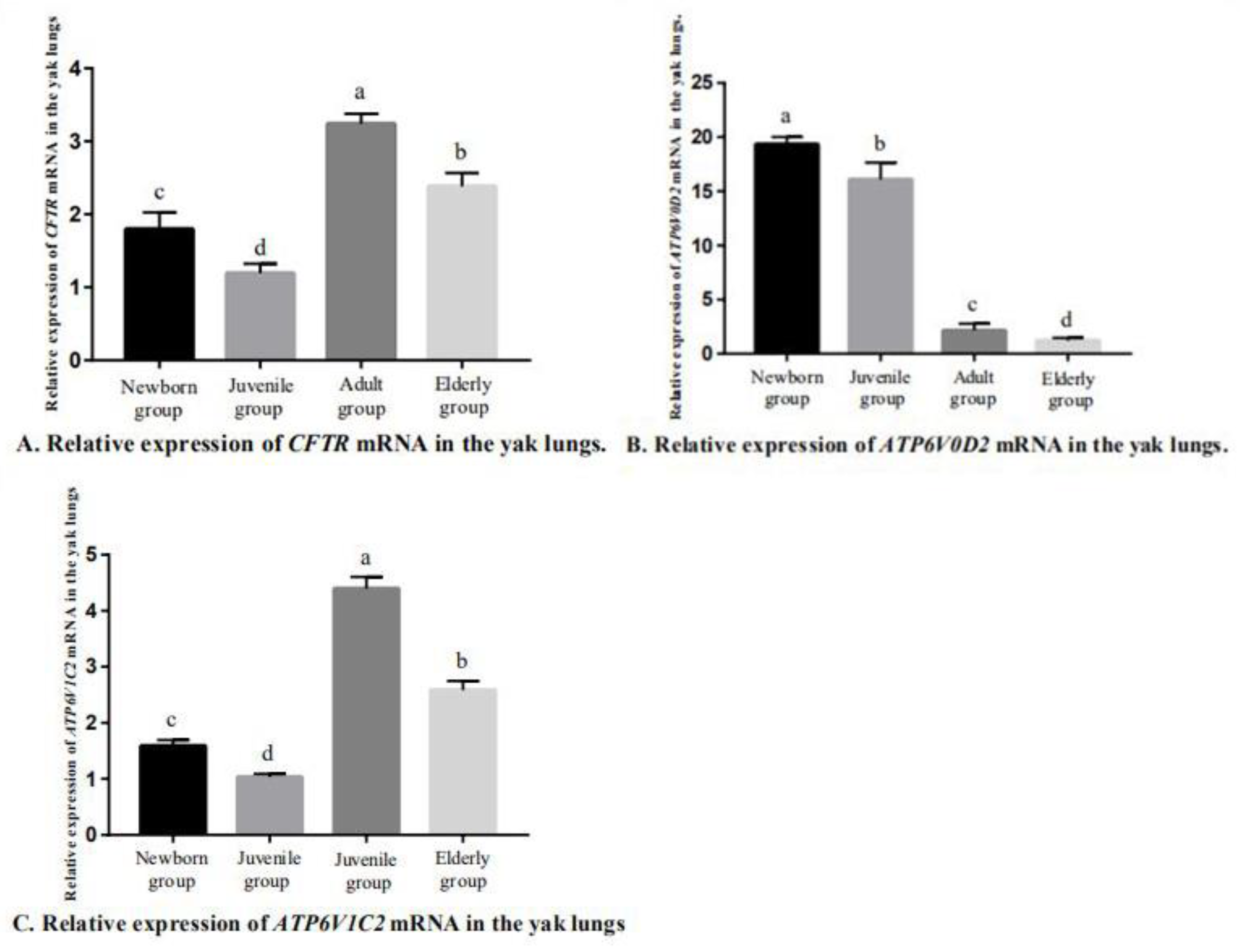 Genes 14 00597 g006 Genes 14 00597 g006