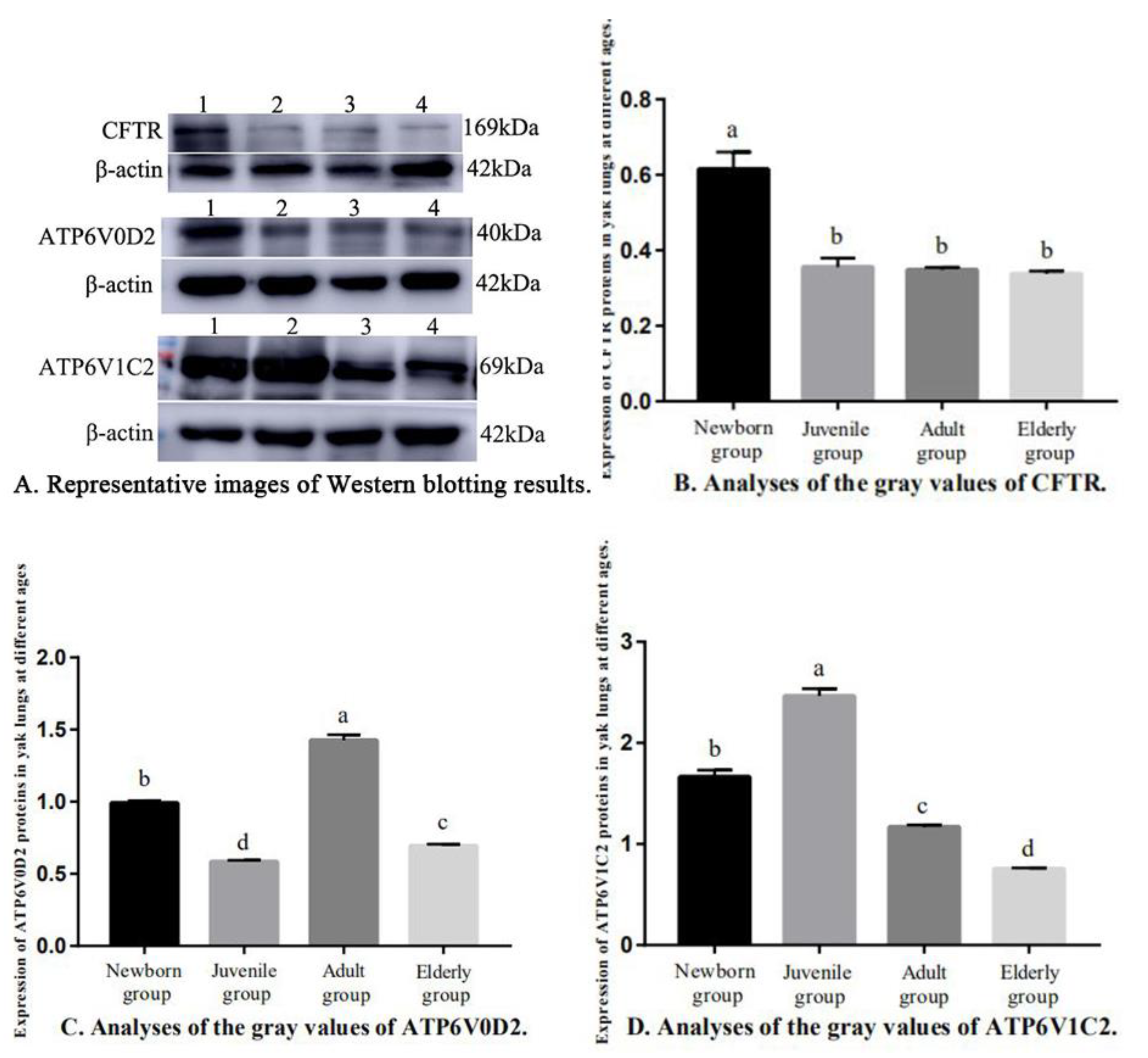 Genes 14 00597 g007 Genes 14 00597 g007
