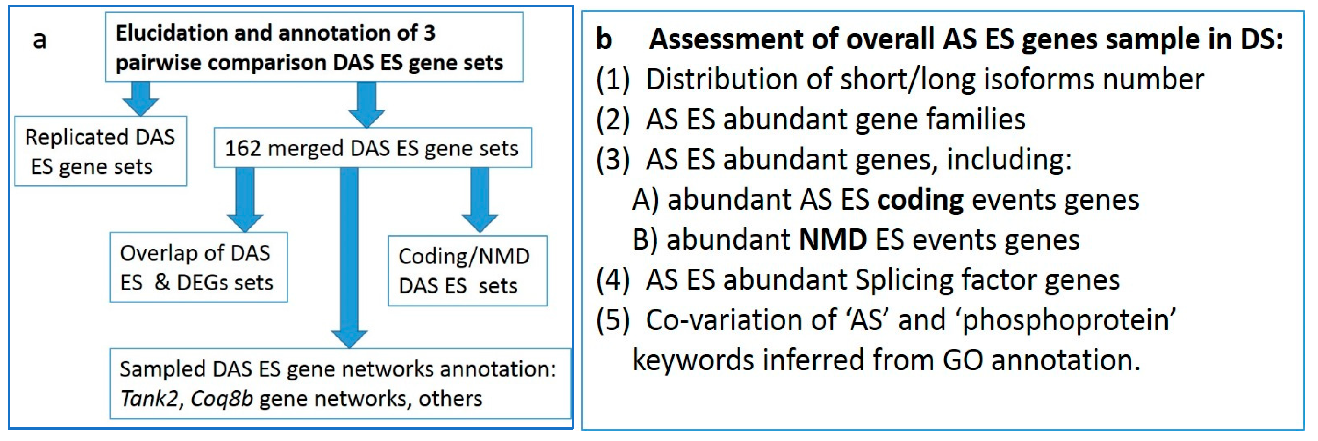 Genes 14 00599 g003