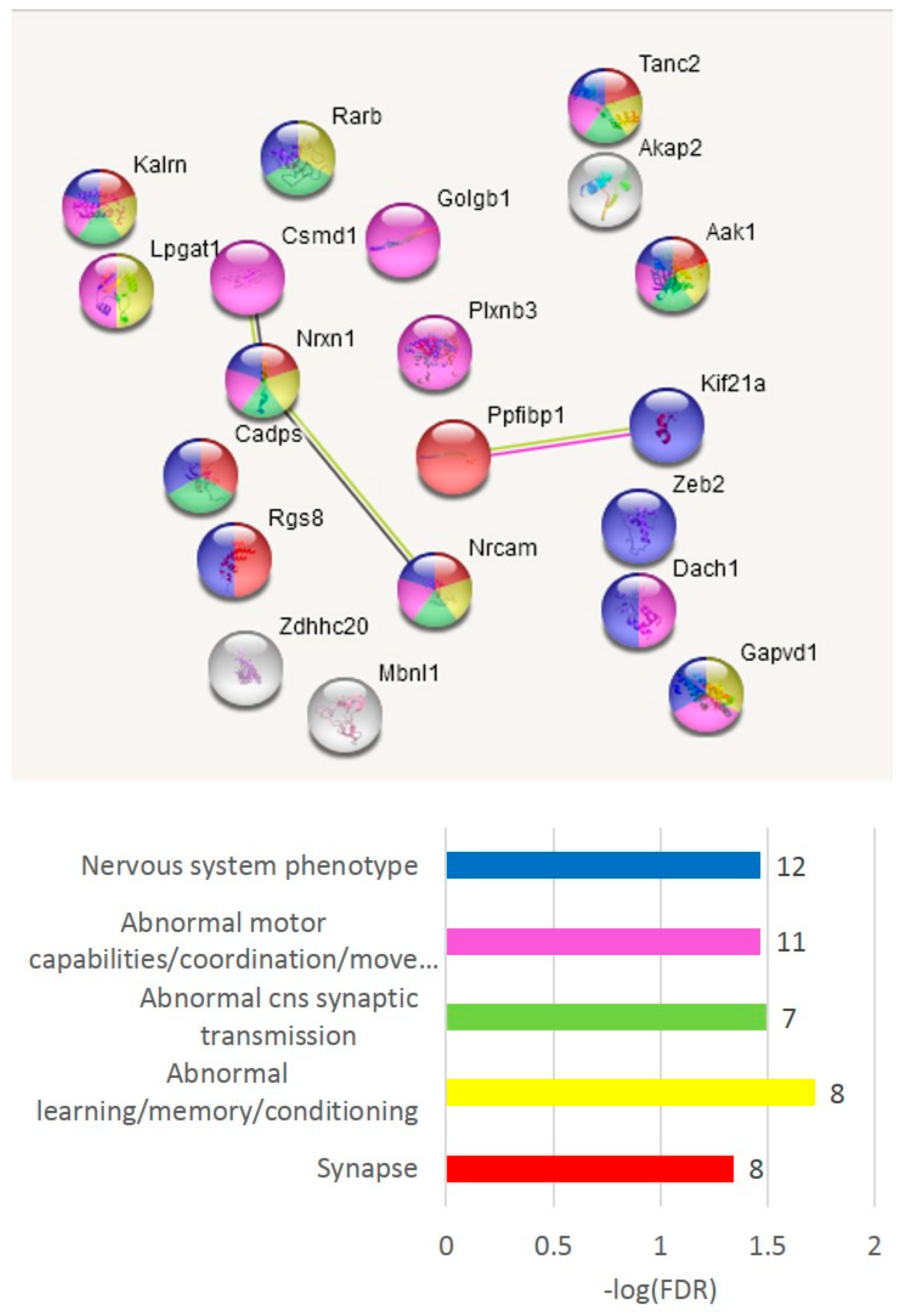 Genes 14 00599 g010