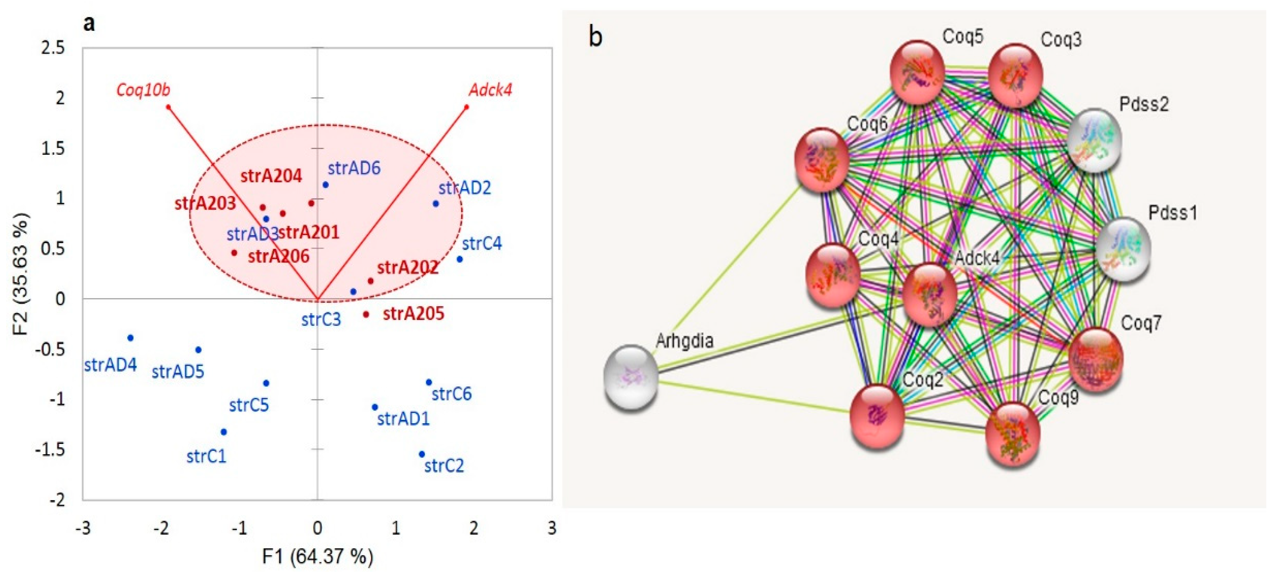 Genes 14 00599 g015