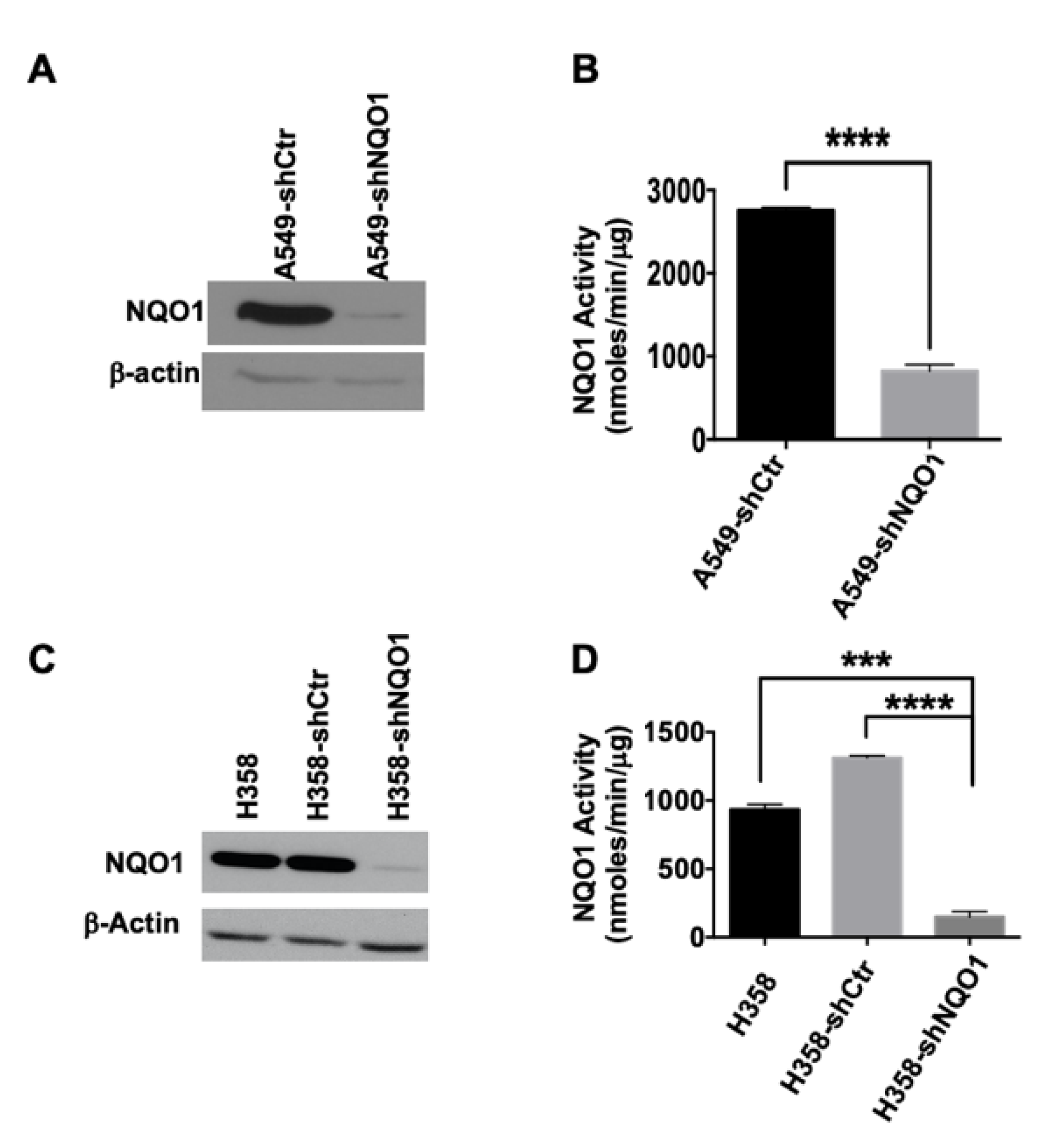 Genes 14 00607 g002 Genes 14 00607 g002