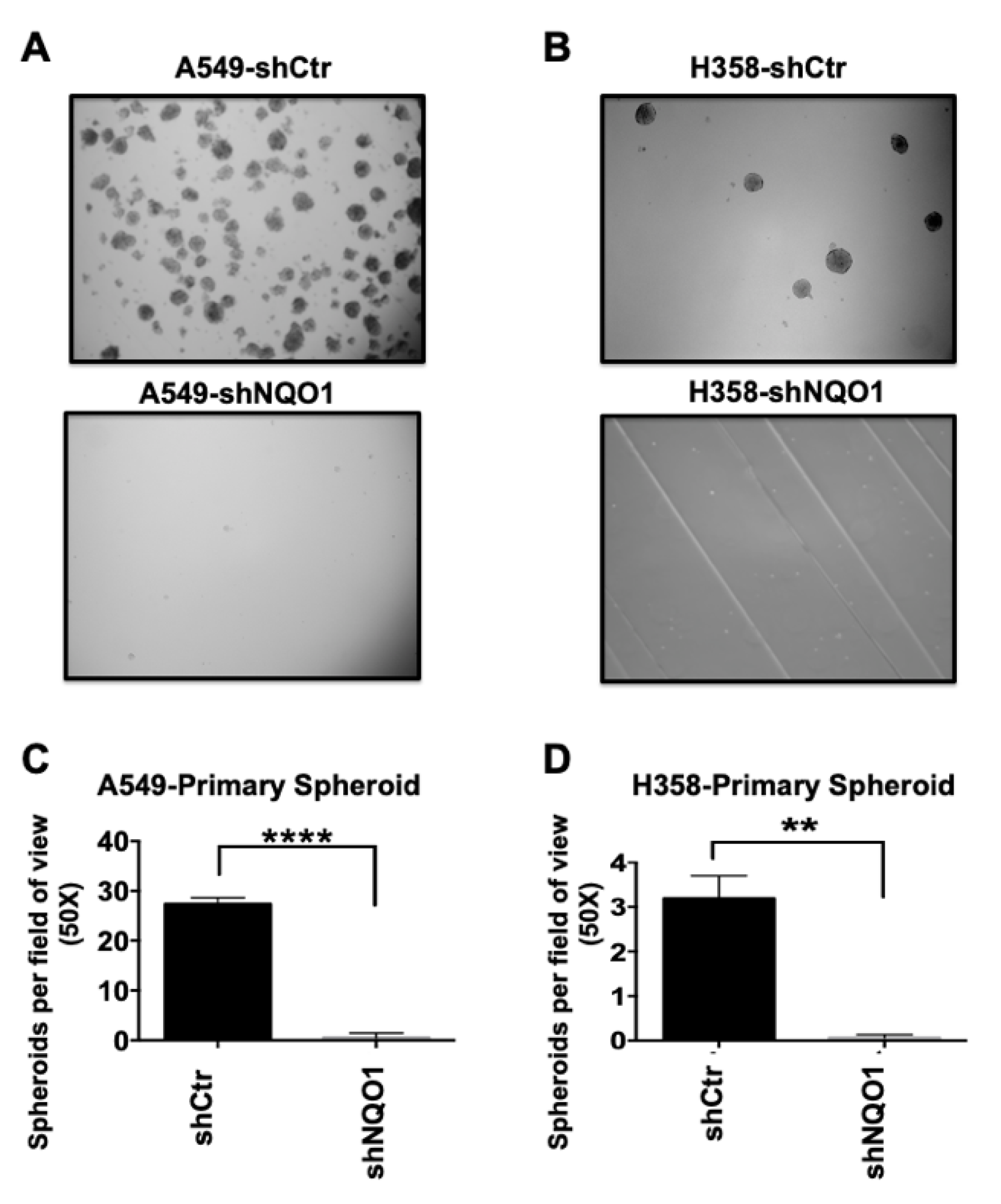 Genes 14 00607 g003 Genes 14 00607 g003