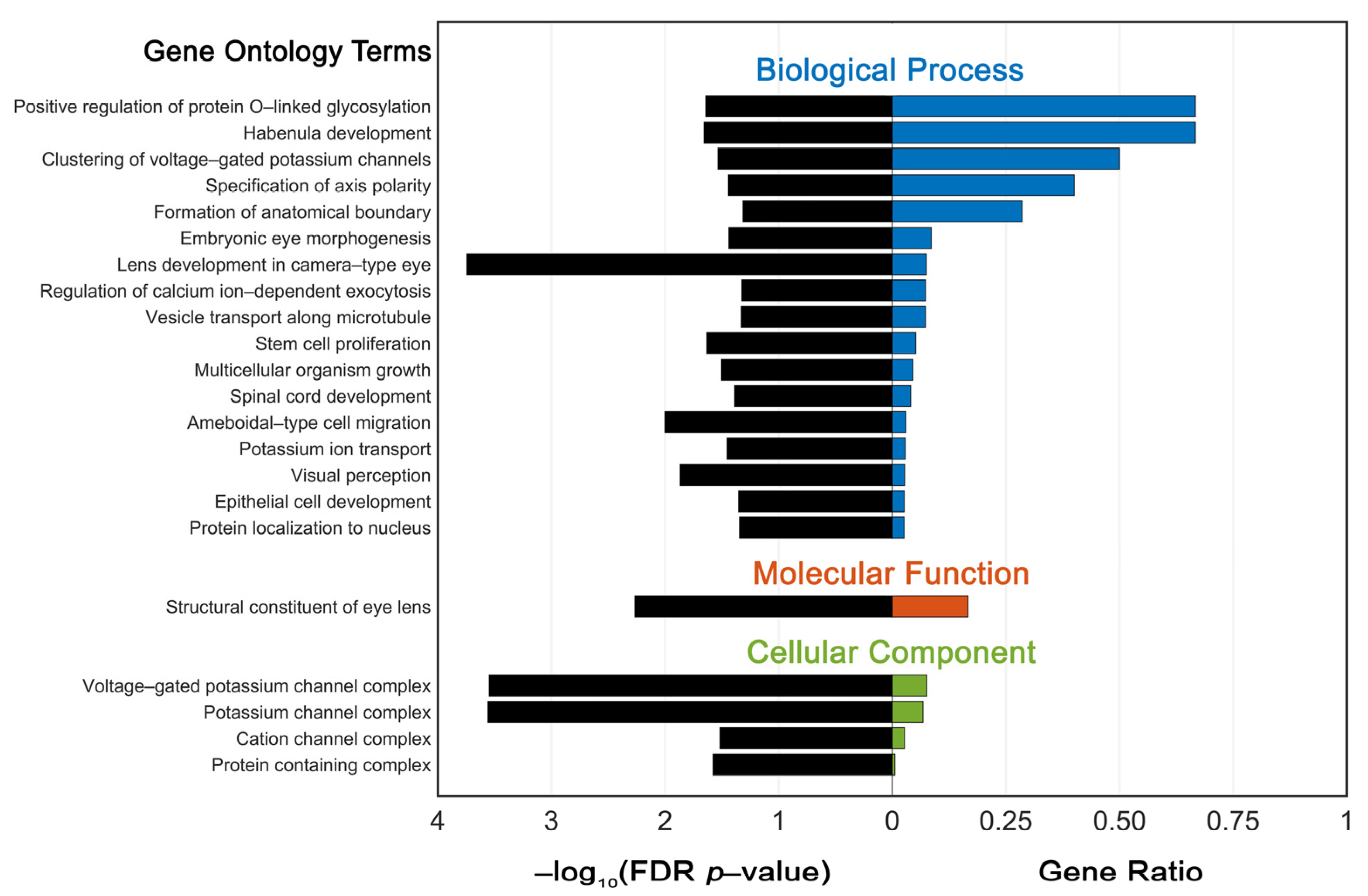 Genes 14 00608 g001