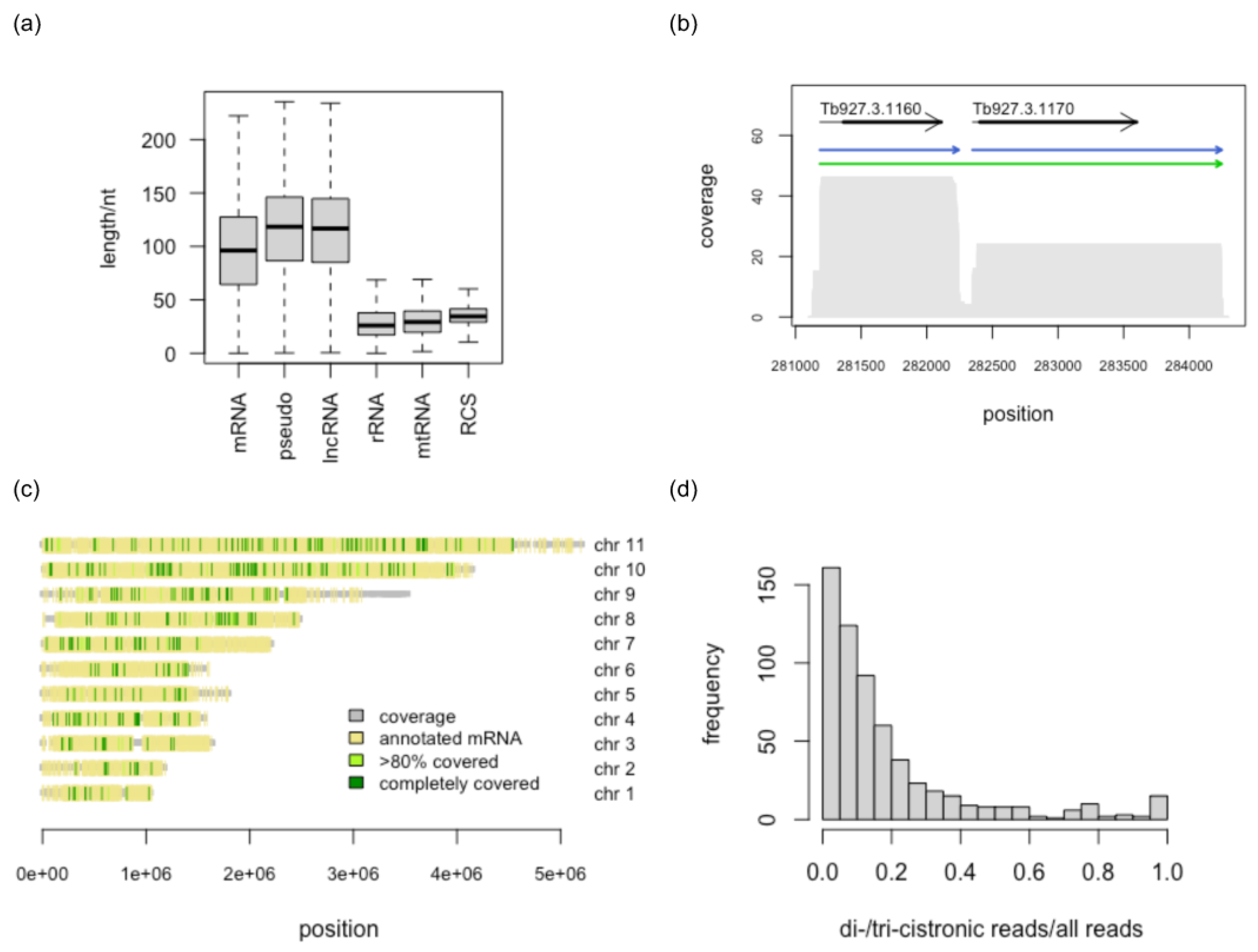 Genes 14 00610 g002 Genes 14 00610 g002