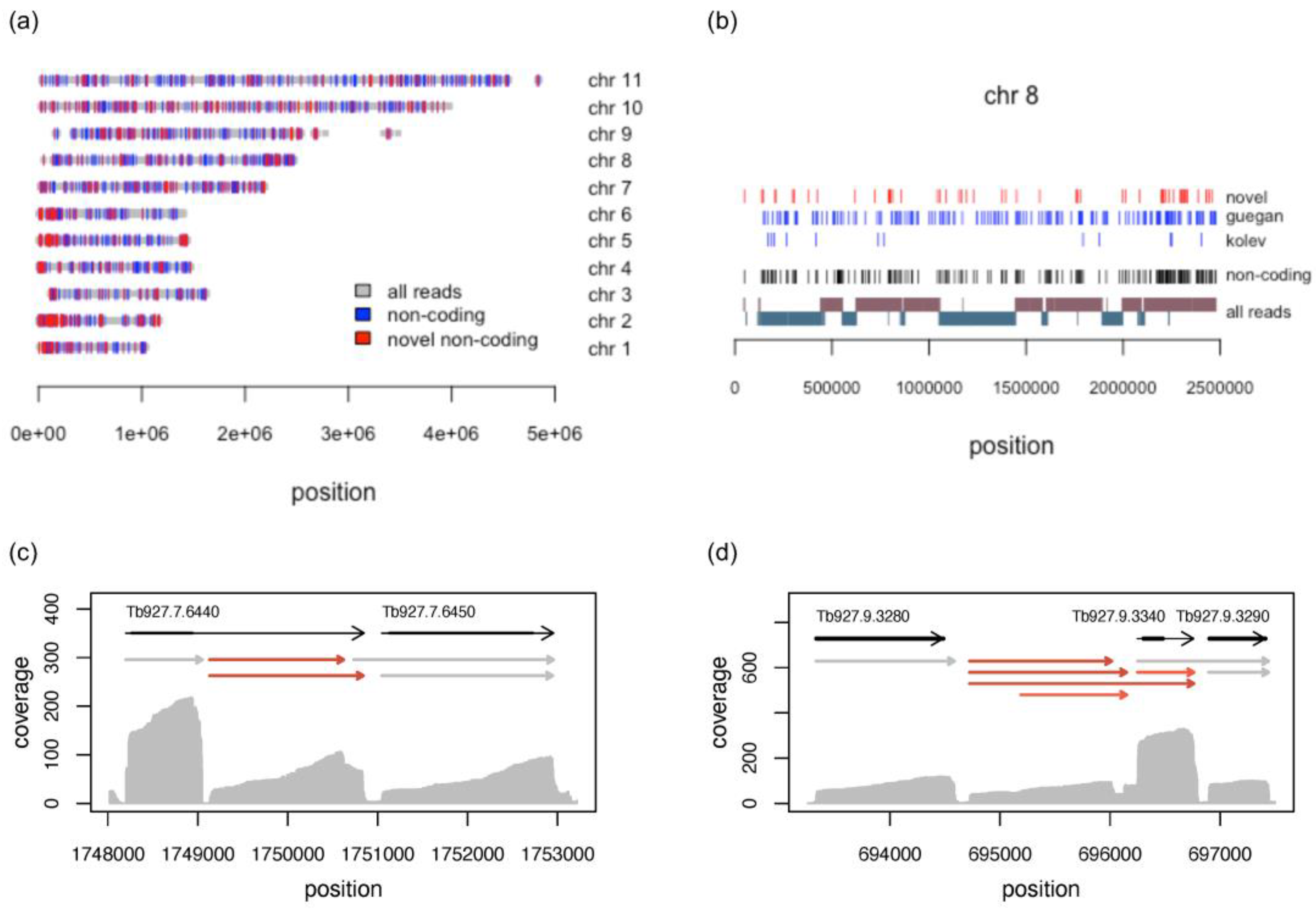 Genes 14 00610 g003 Genes 14 00610 g003