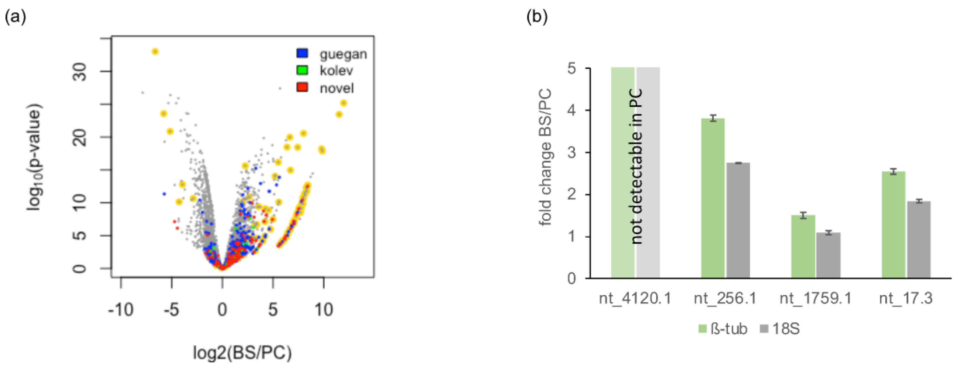 Genes 14 00610 g007 Genes 14 00610 g007