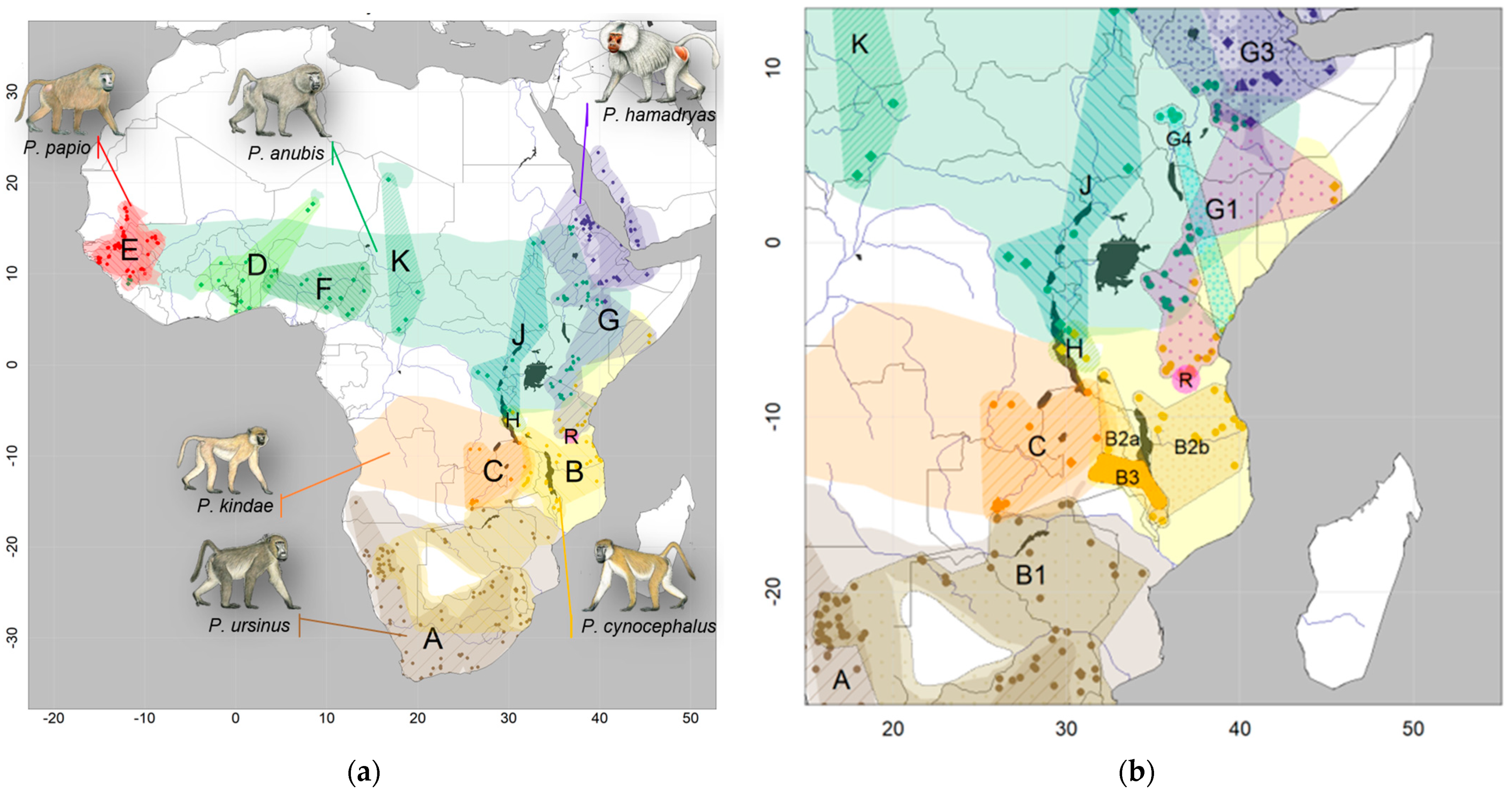 PDF) Whole genomes from Angola and Mozambique inform about the origins and  dispersals of major African migrations