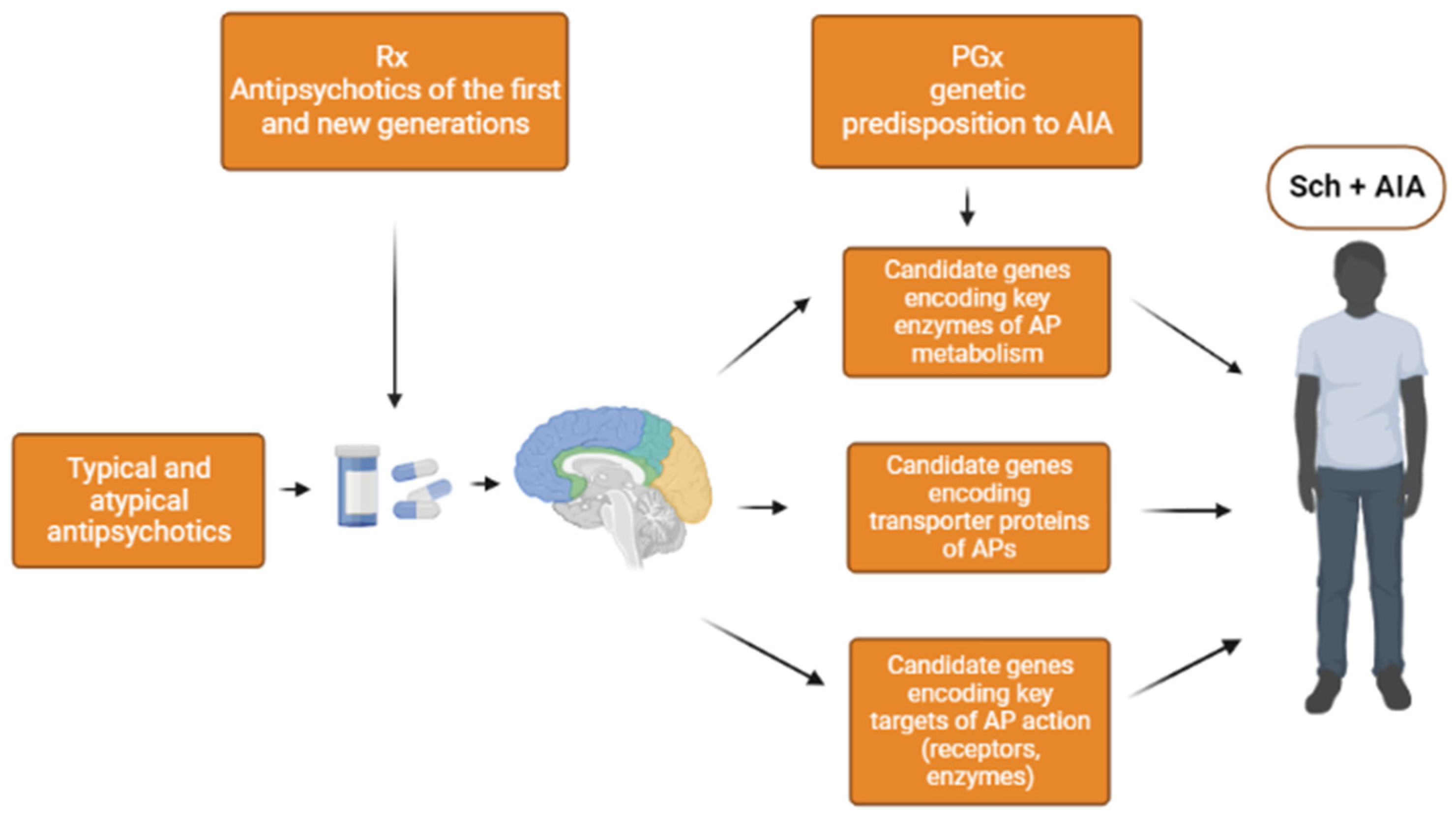Genes 14 00616 g002 Genes 14 00616 g002
