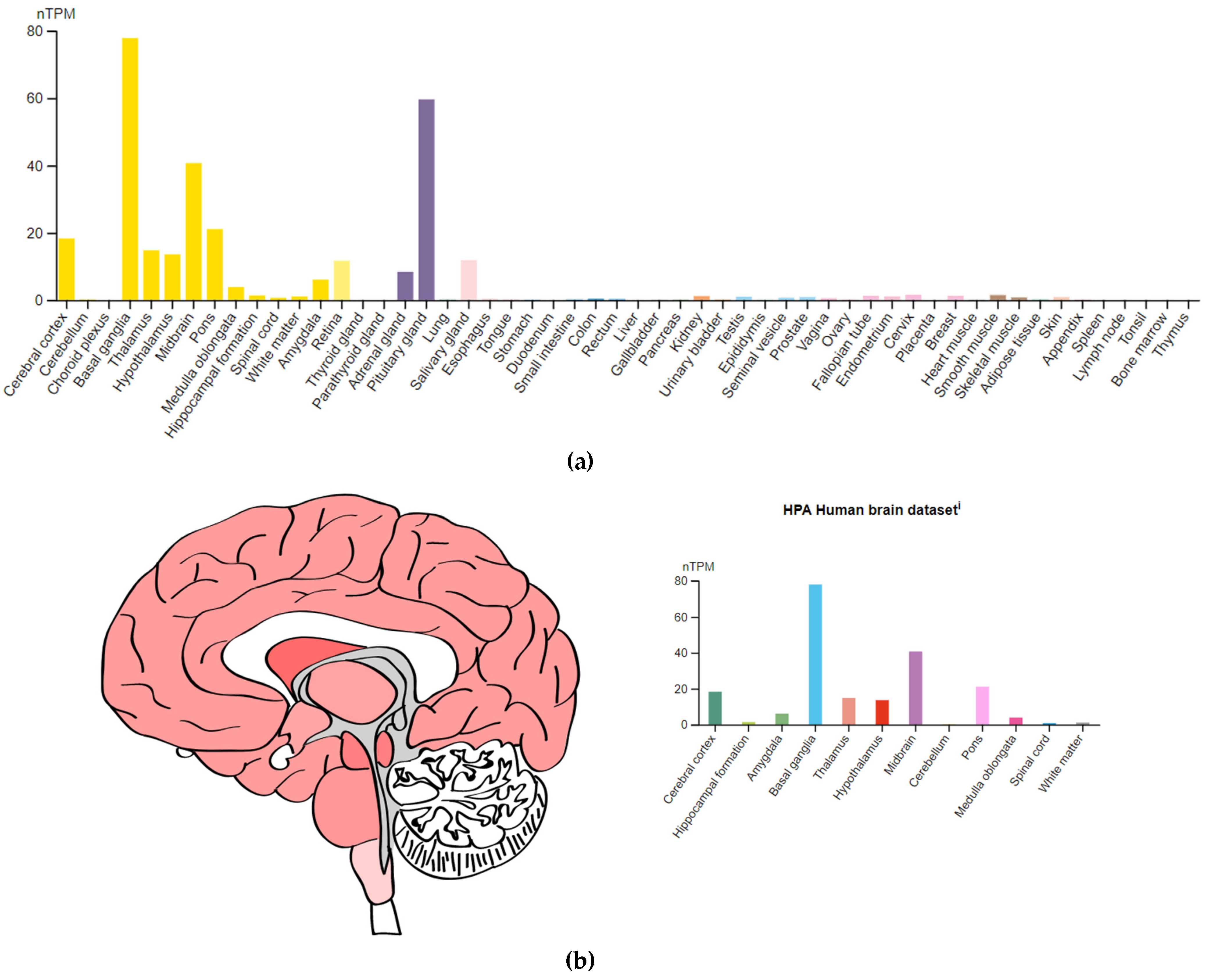 Genes 14 00616 g0a4 Genes 14 00616 g0a4