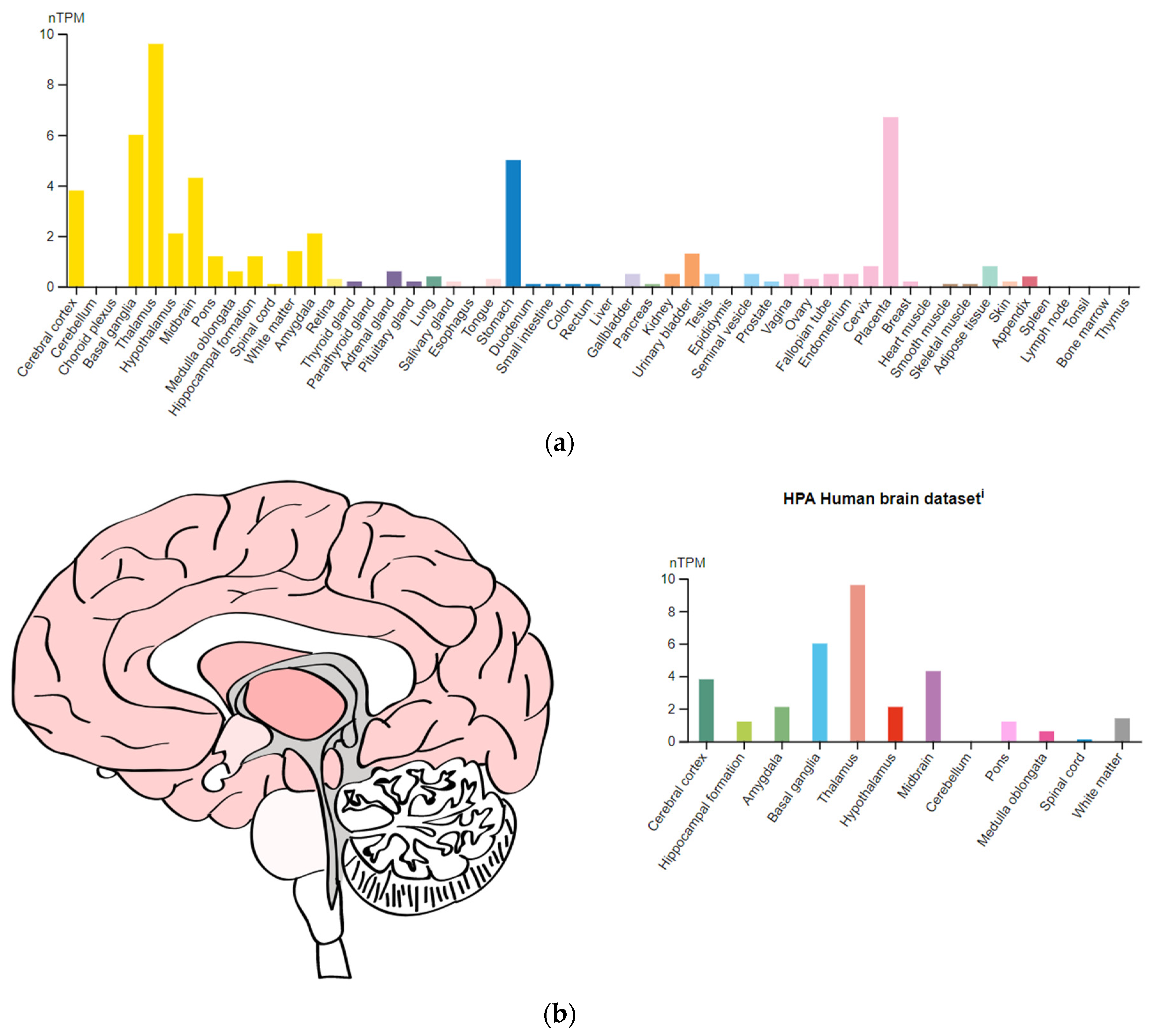 Genes 14 00616 g0a5 Genes 14 00616 g0a5