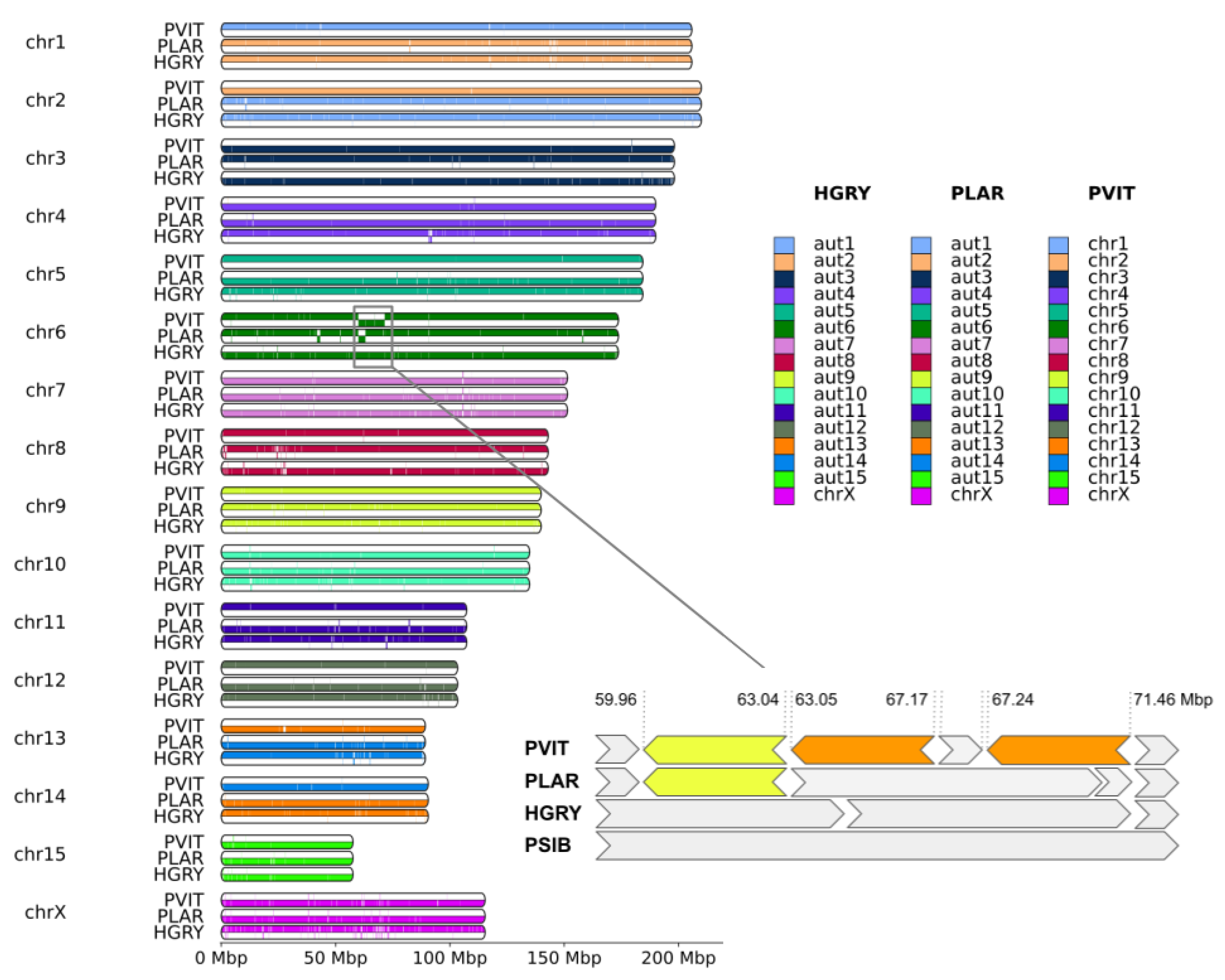Genes 14 00619 g002 Genes 14 00619 g002