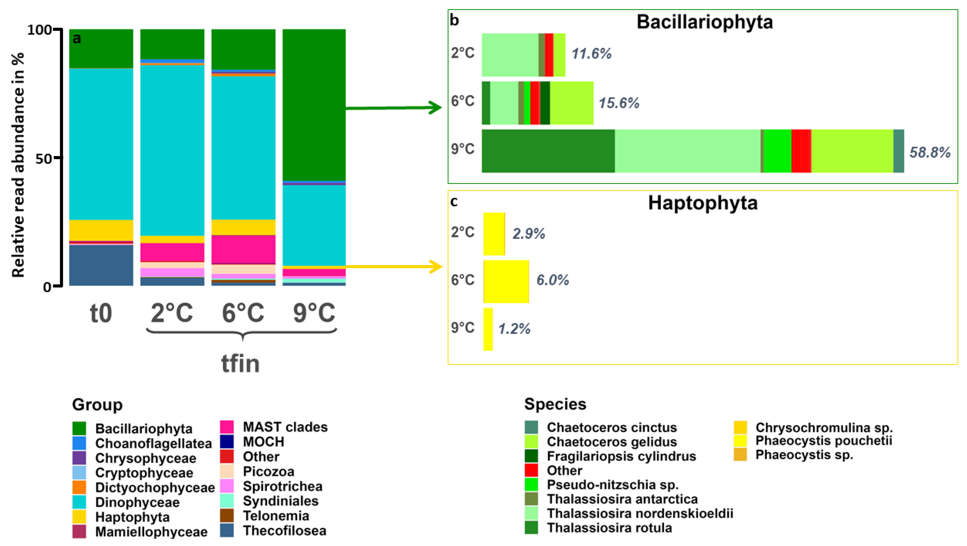 Genes 14 00623 g004