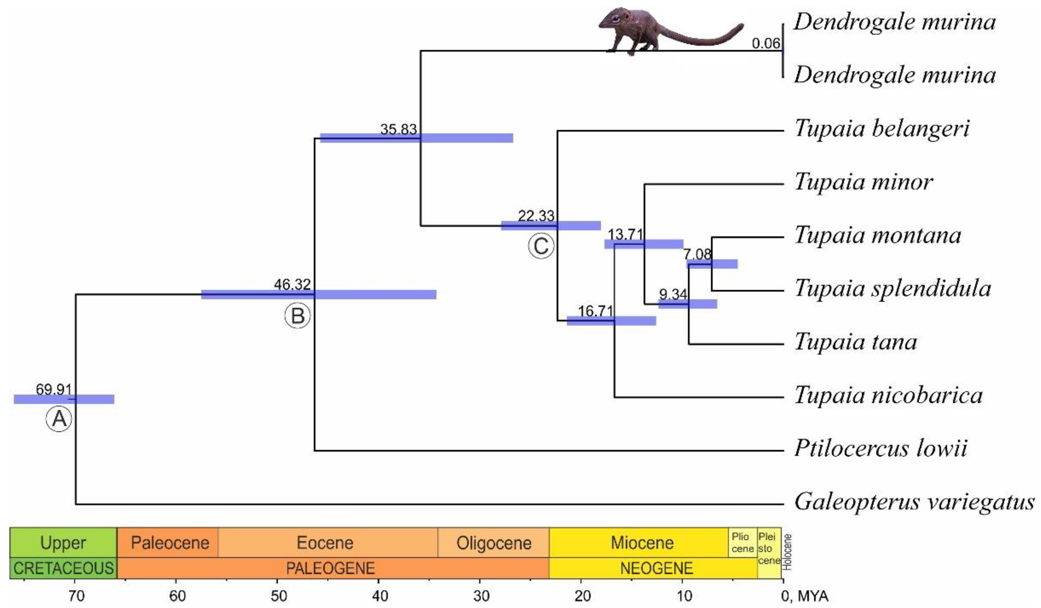 Genes 14 00624 g003
