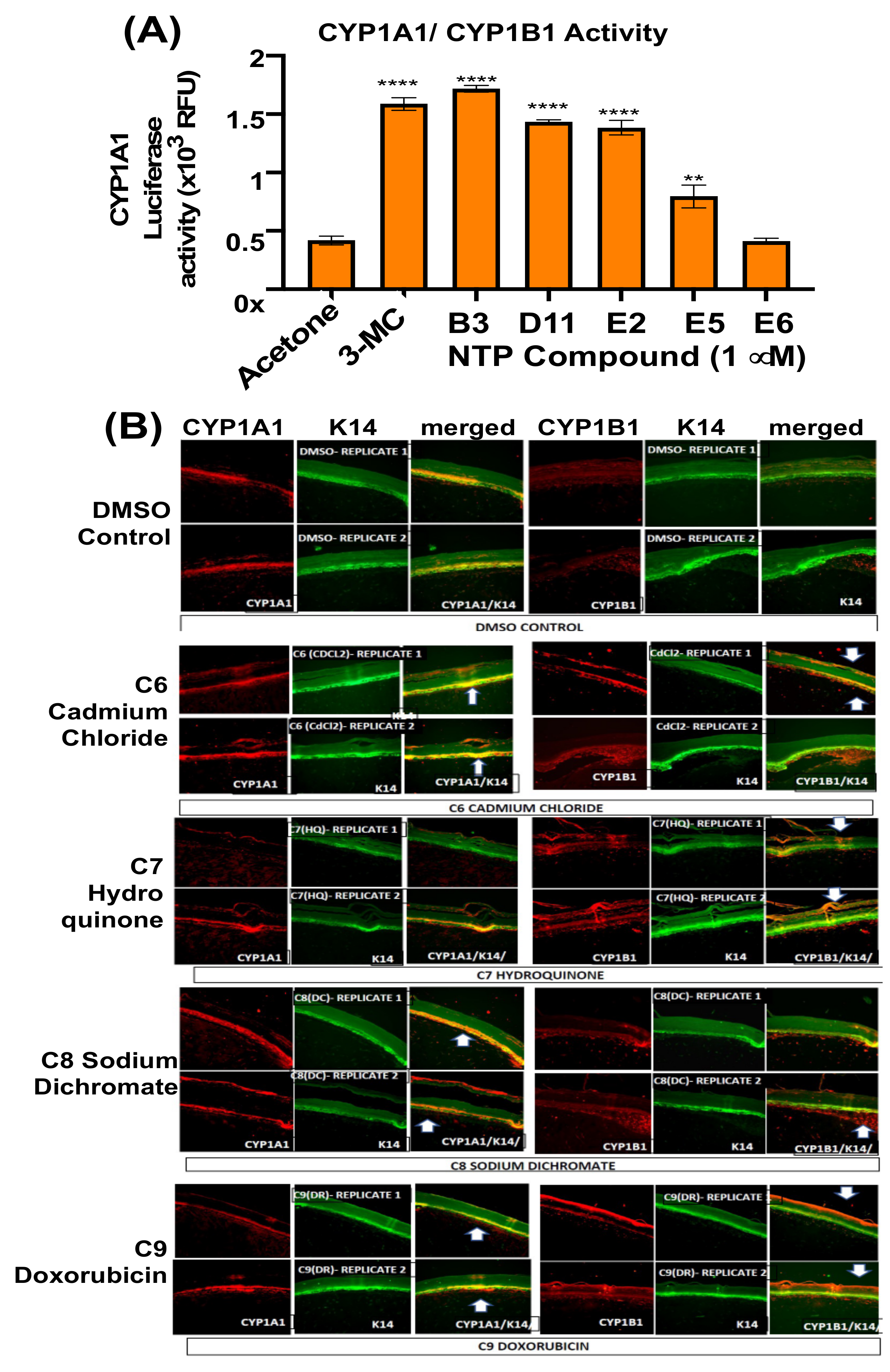 Genes 14 00630 g008