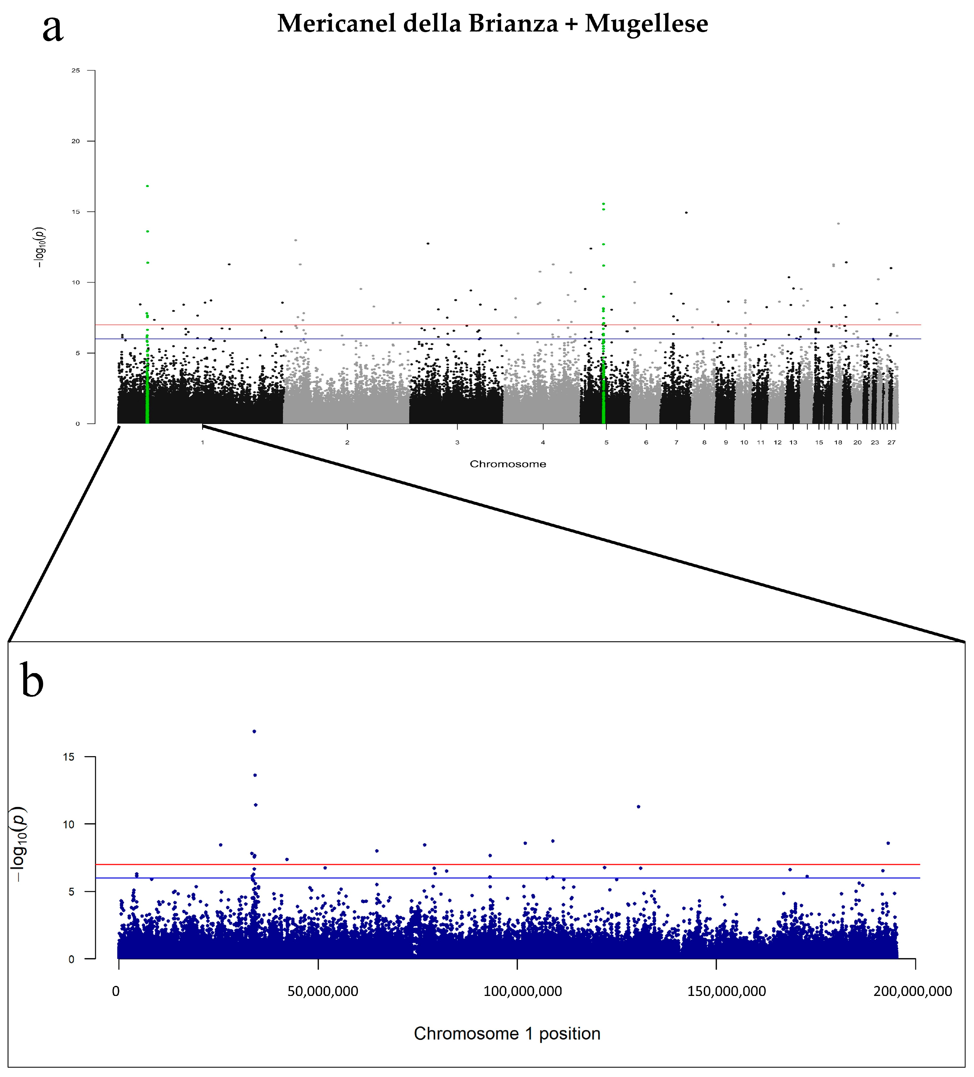 Genes 14 00633 g003 Genes 14 00633 g003