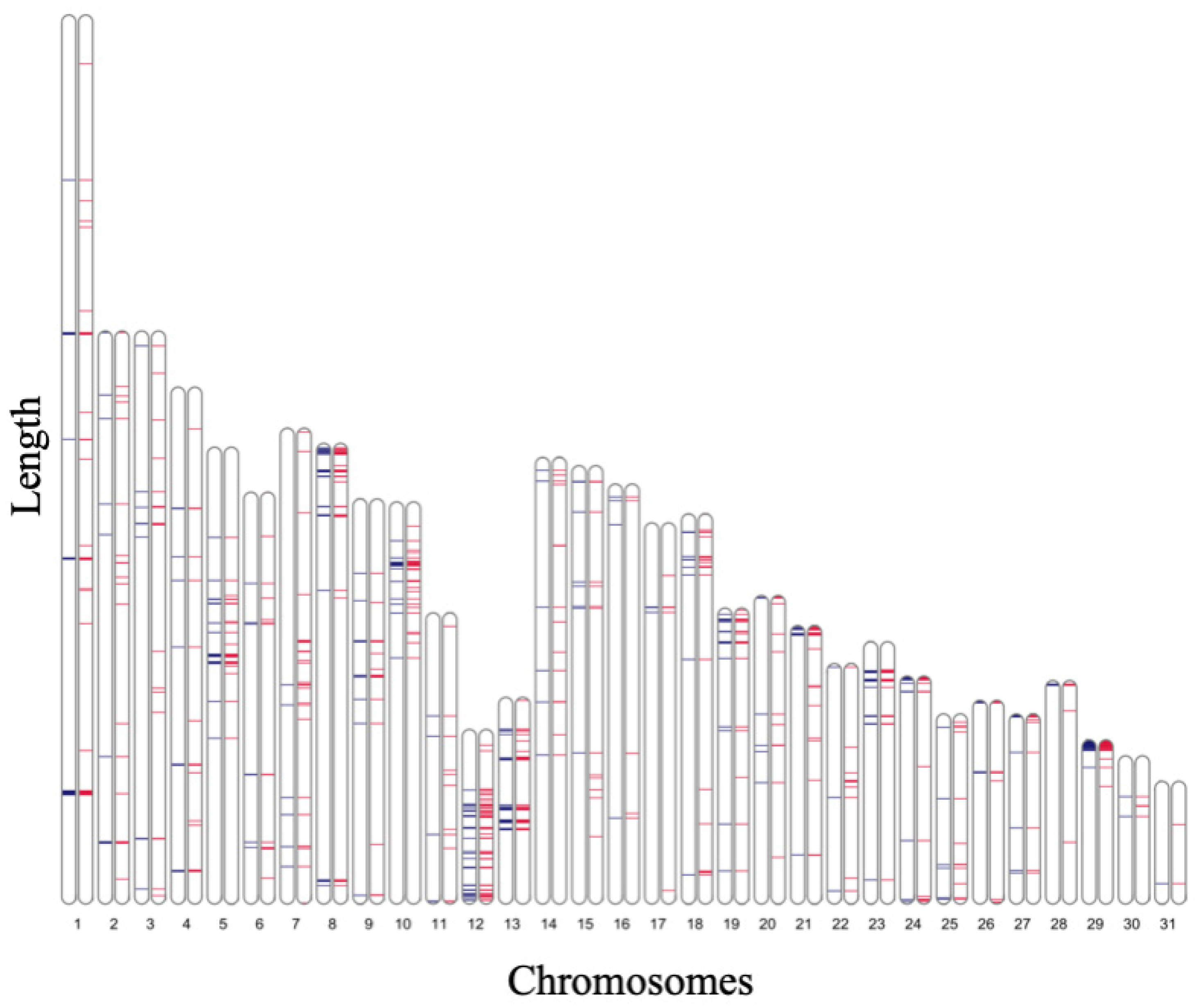 Genes 14 00638 g004 Genes 14 00638 g004