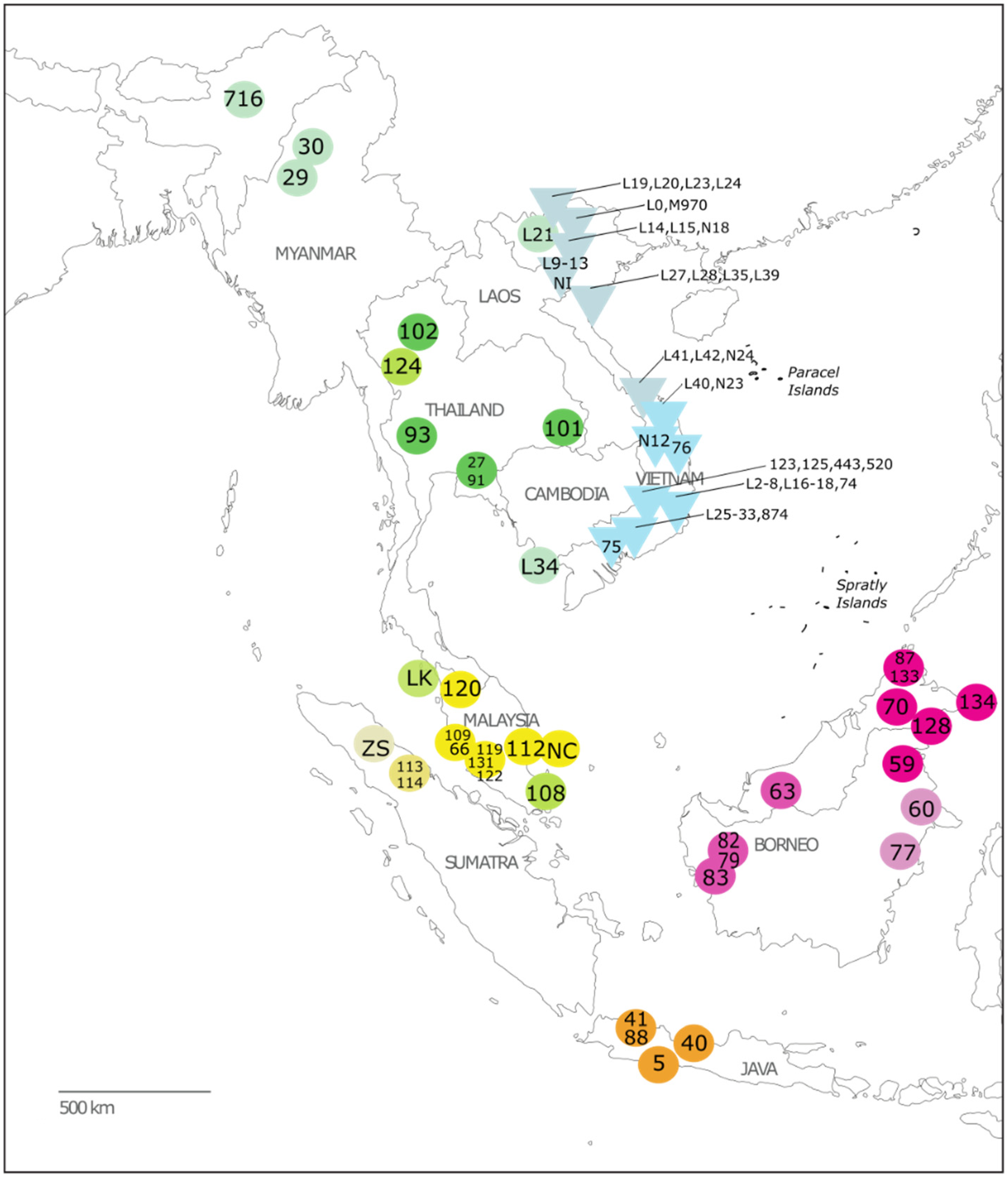 Genes 14 00643 g001 Genes 14 00643 g001