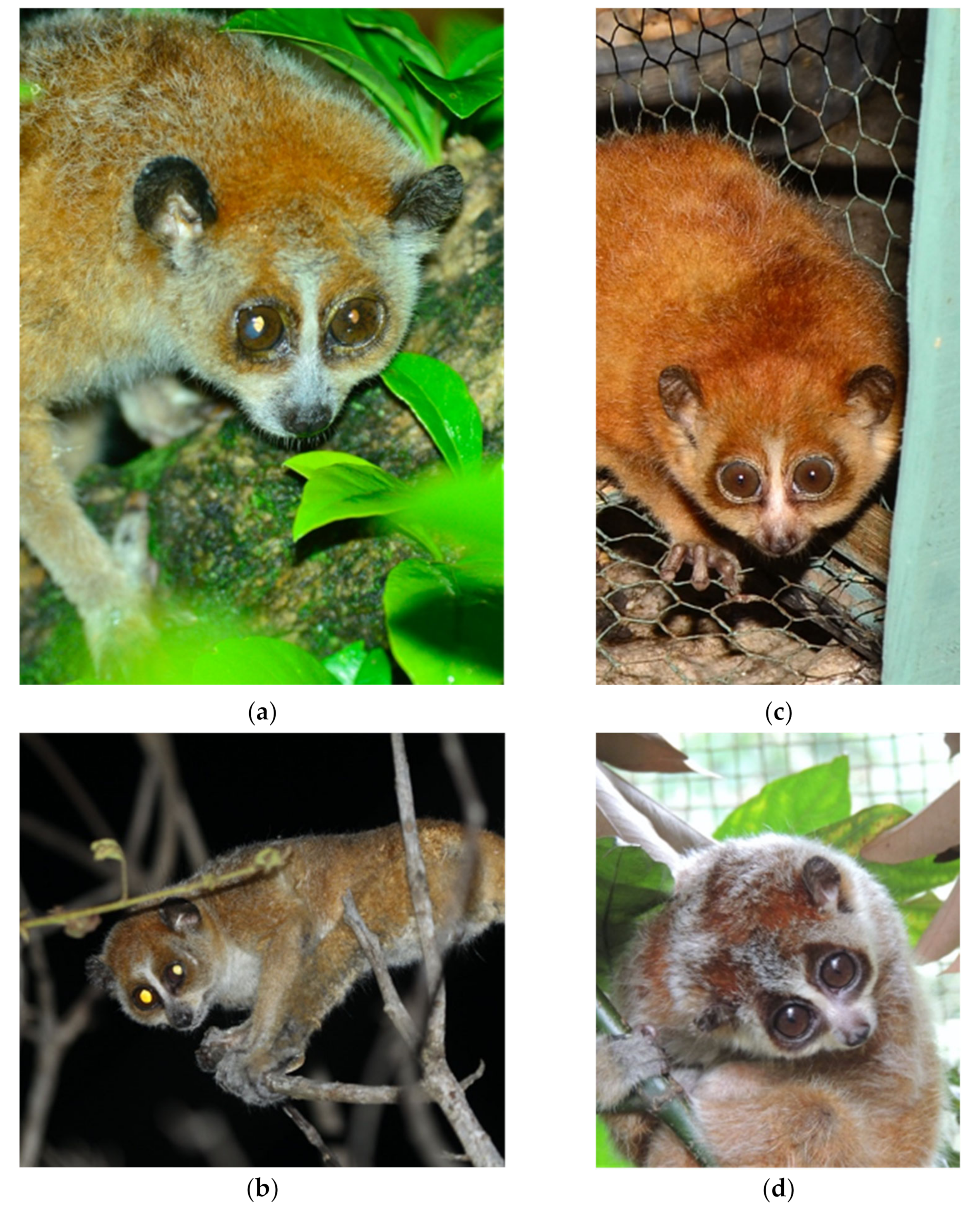 Genes 14 00643 g007 Genes 14 00643 g007