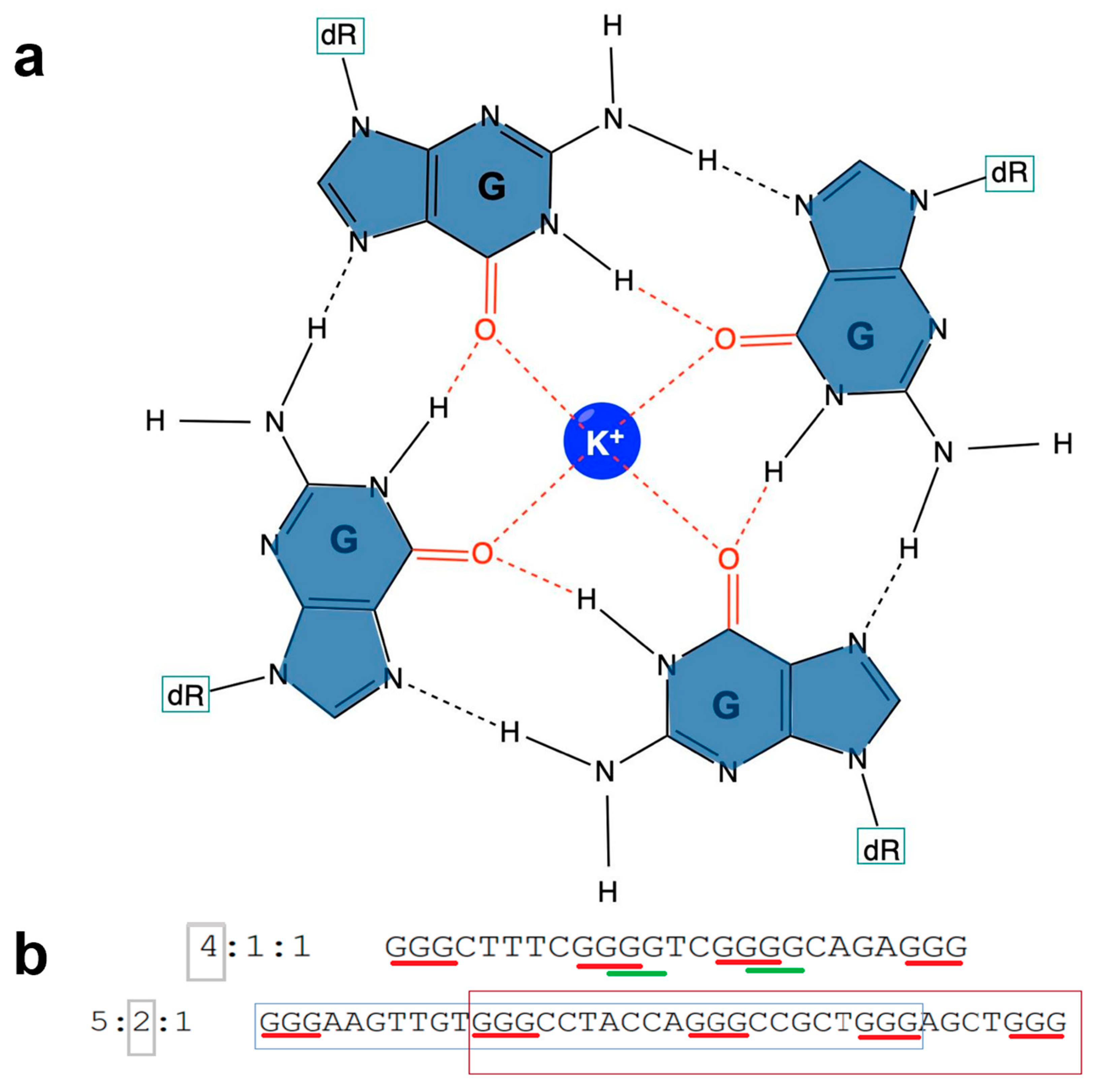Genes Free FullText Structural and Functional Classification of G