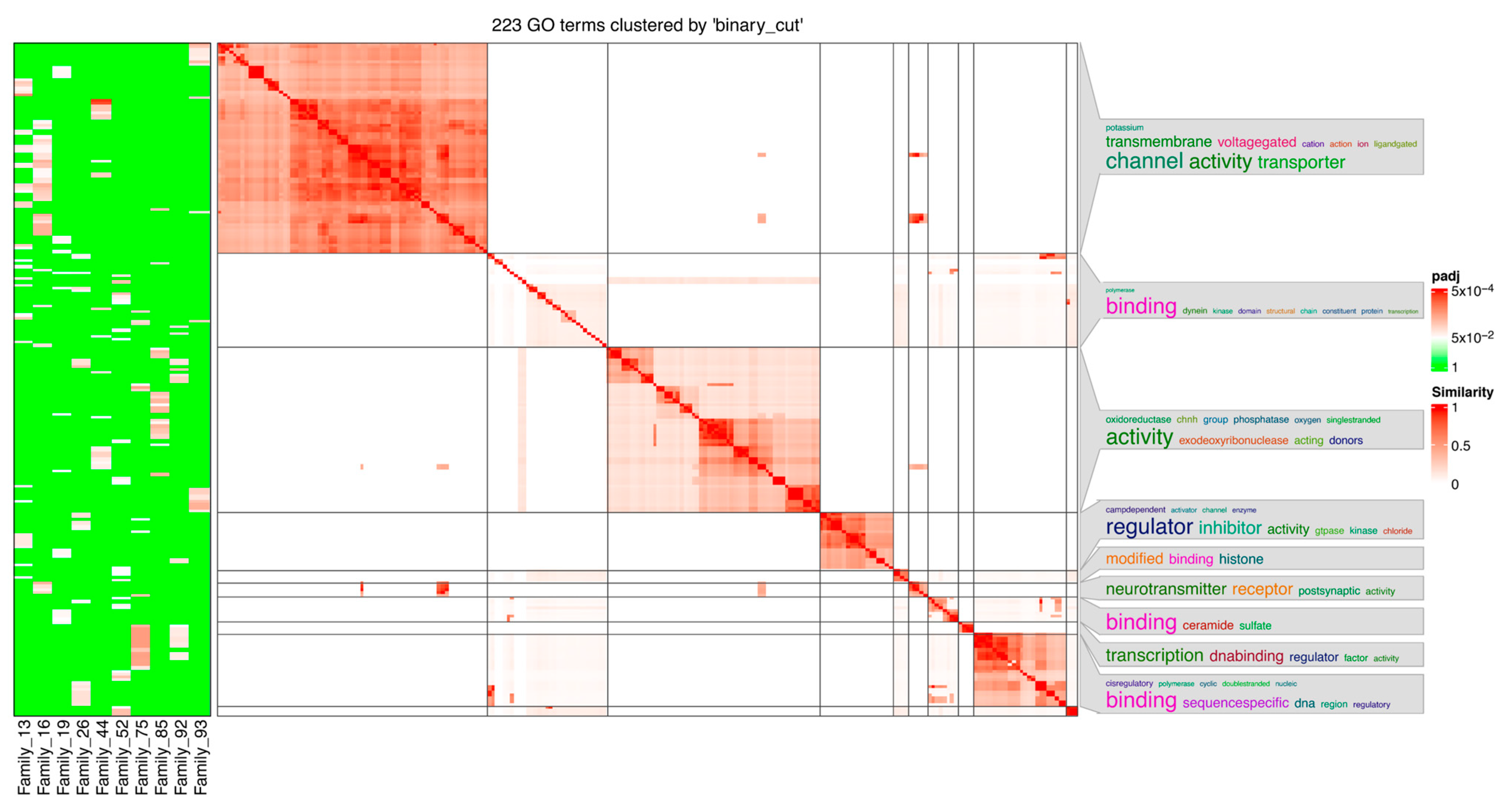 Genes 14 00645 g007 Genes 14 00645 g007