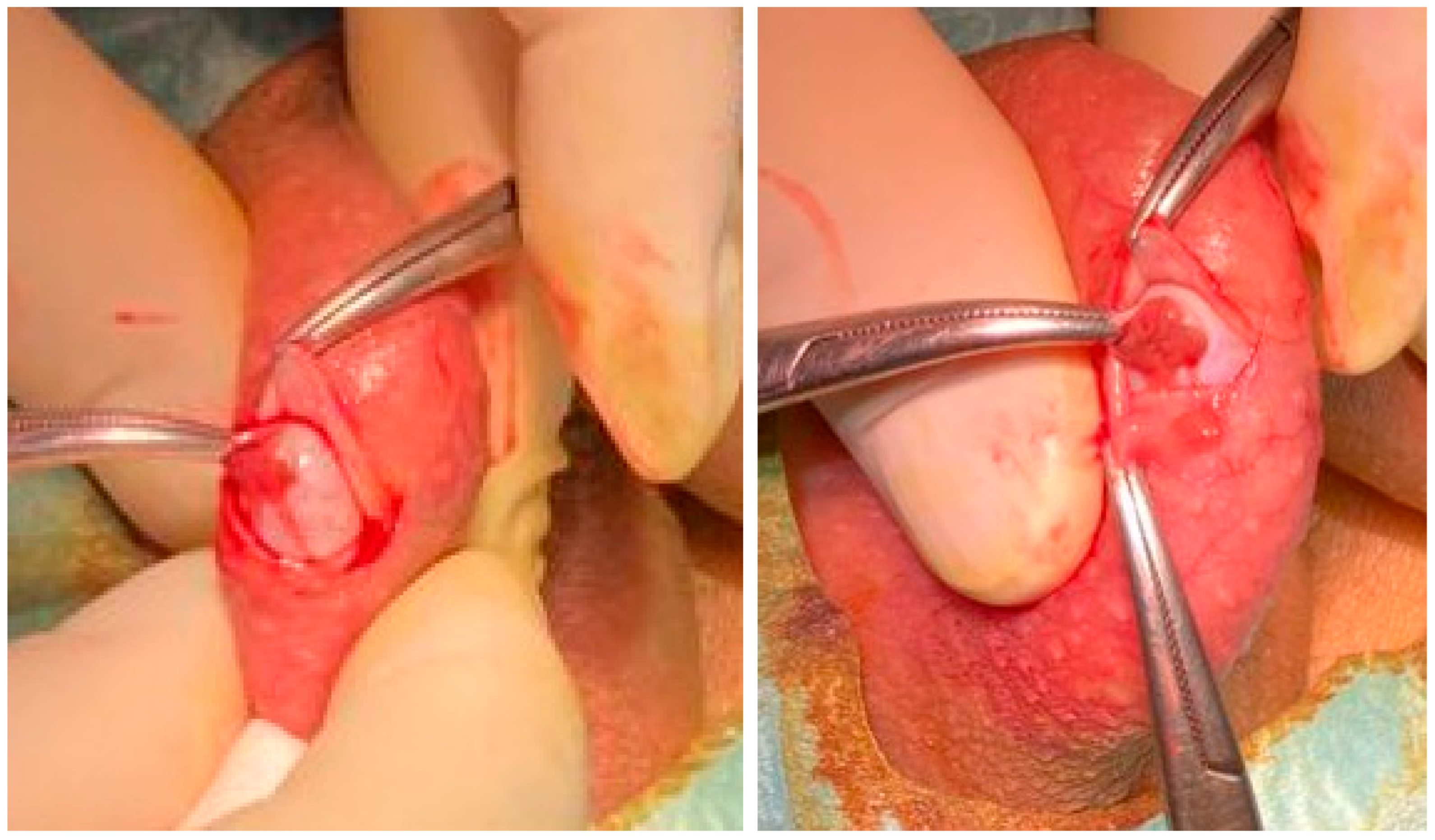 Genes 14 00647 g001 Genes 14 00647 g001