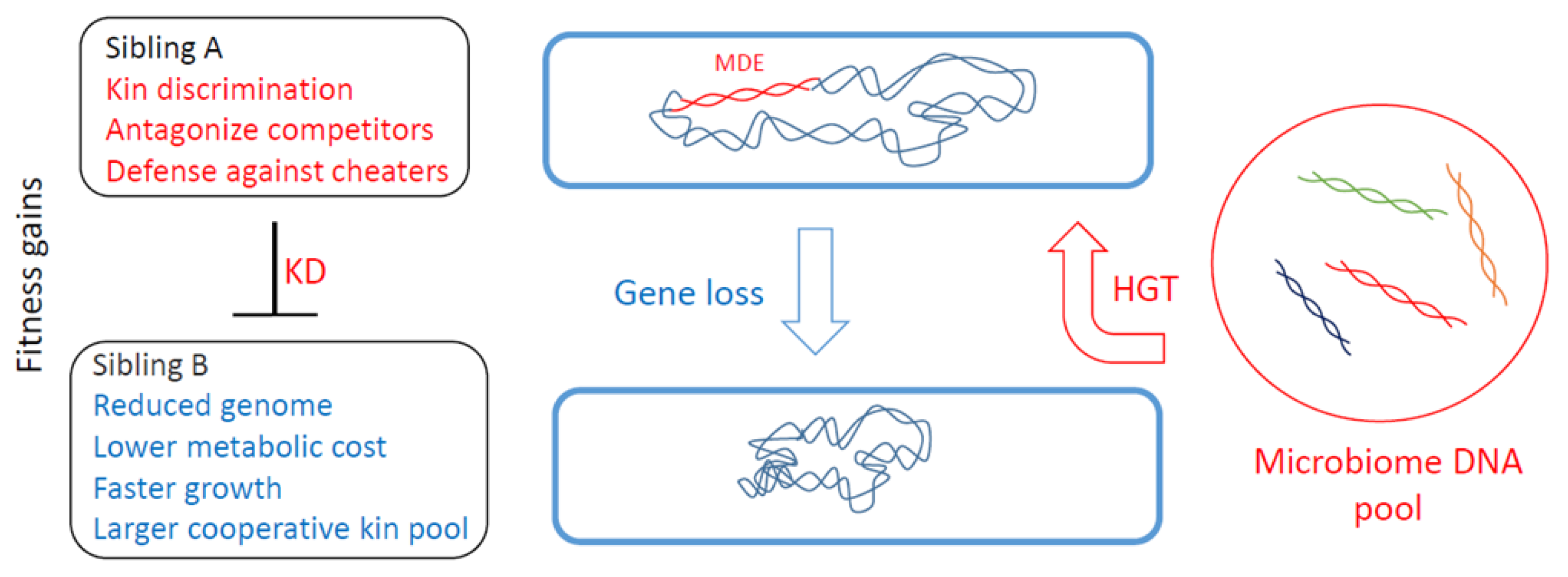 Genes 14 00648 g001 Genes 14 00648 g001